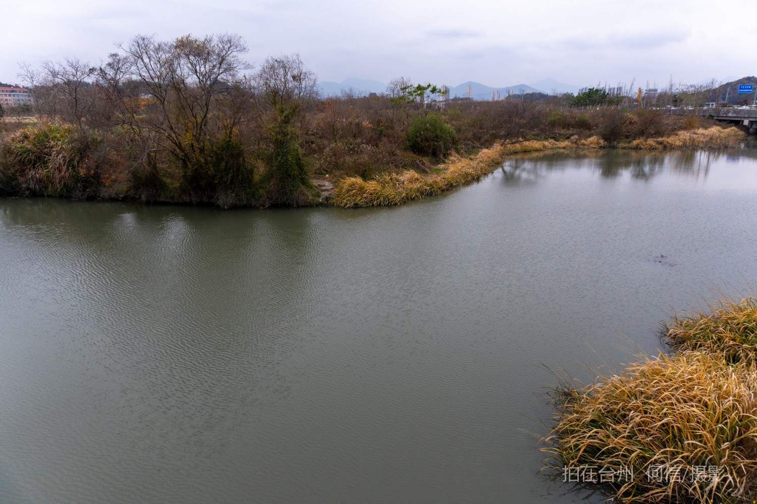 黄岩院桥镇鉴洋湖湿地公园(图19)