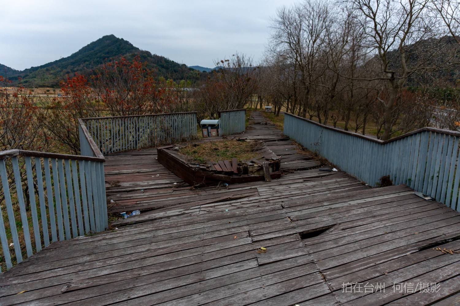 黄岩院桥镇鉴洋湖湿地公园(图15)