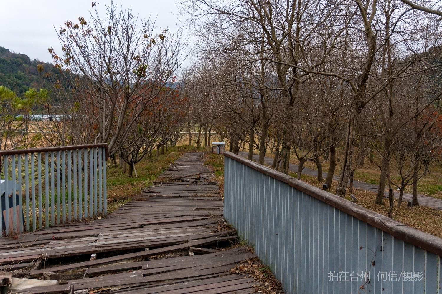 黄岩院桥镇鉴洋湖湿地公园(图10)