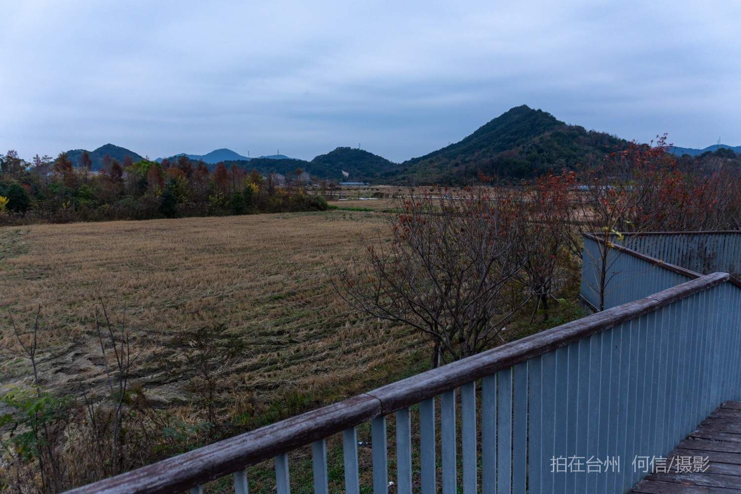 黄岩院桥镇鉴洋湖湿地公园(图16)