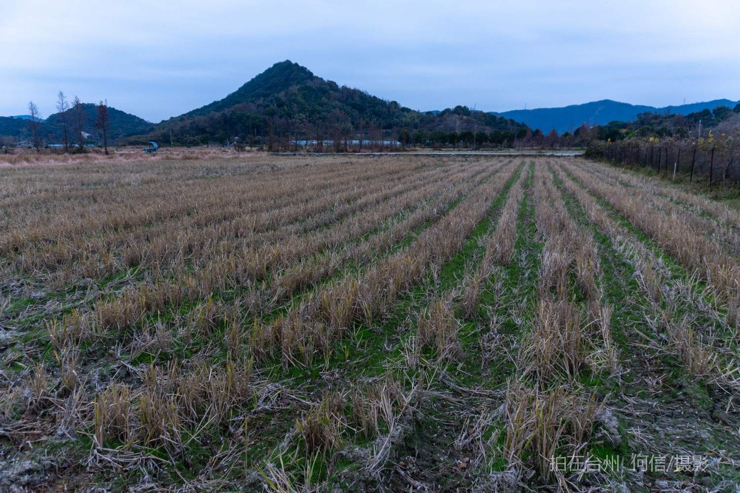 黄岩院桥镇鉴洋湖湿地公园(图11)