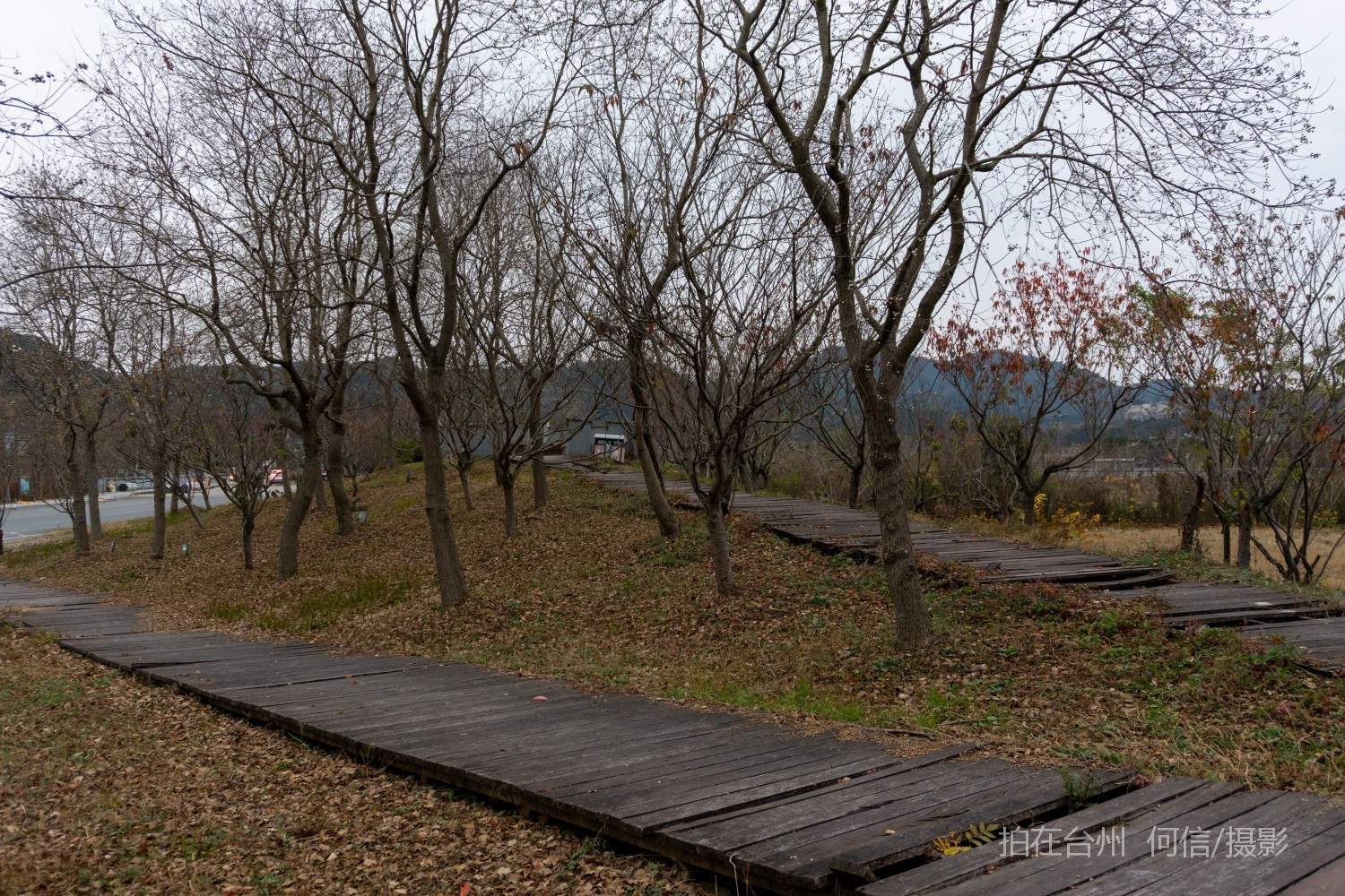 黄岩院桥镇鉴洋湖湿地公园(图14)