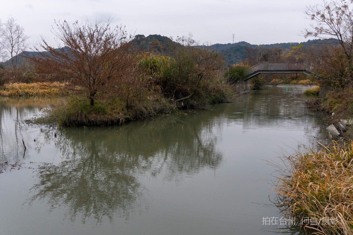 黄岩院桥镇鉴洋湖湿地公园(图8)