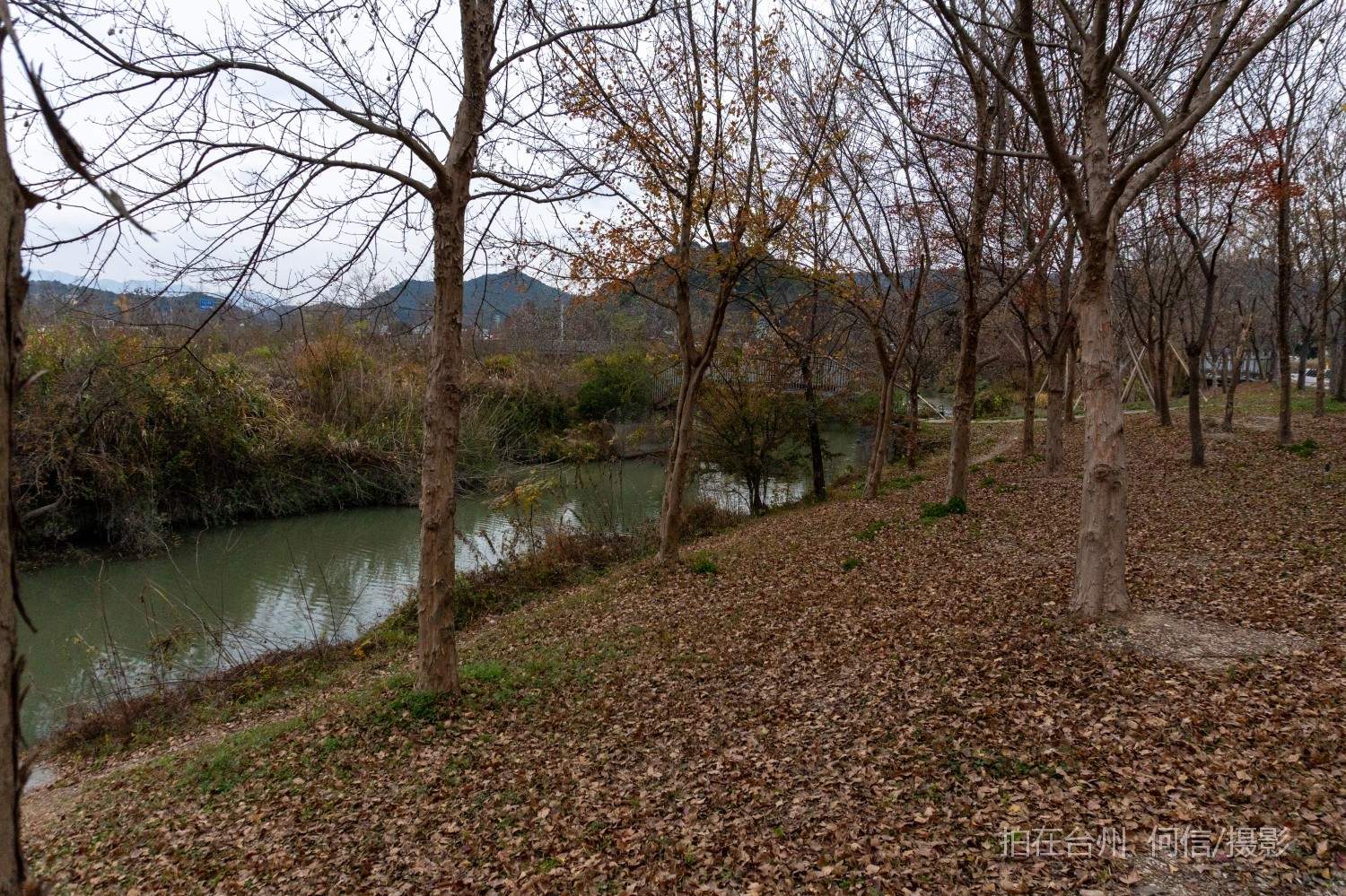 黄岩院桥镇鉴洋湖湿地公园(图7)