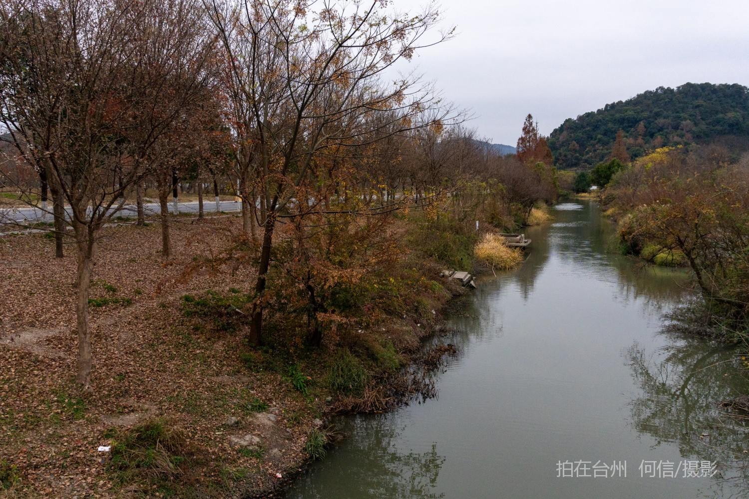 黄岩院桥镇鉴洋湖湿地公园(图6)