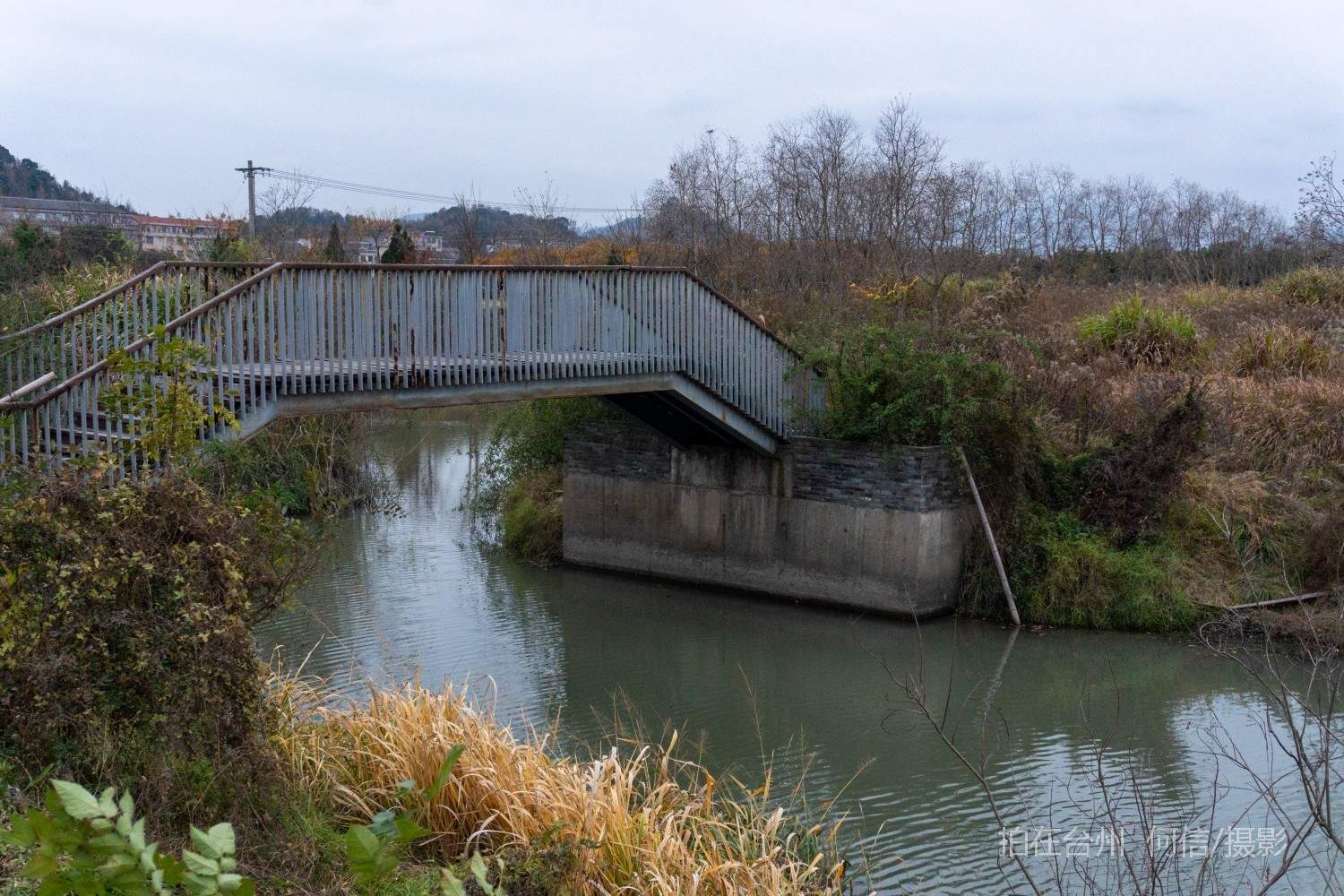 黄岩院桥镇鉴洋湖湿地公园(图3)