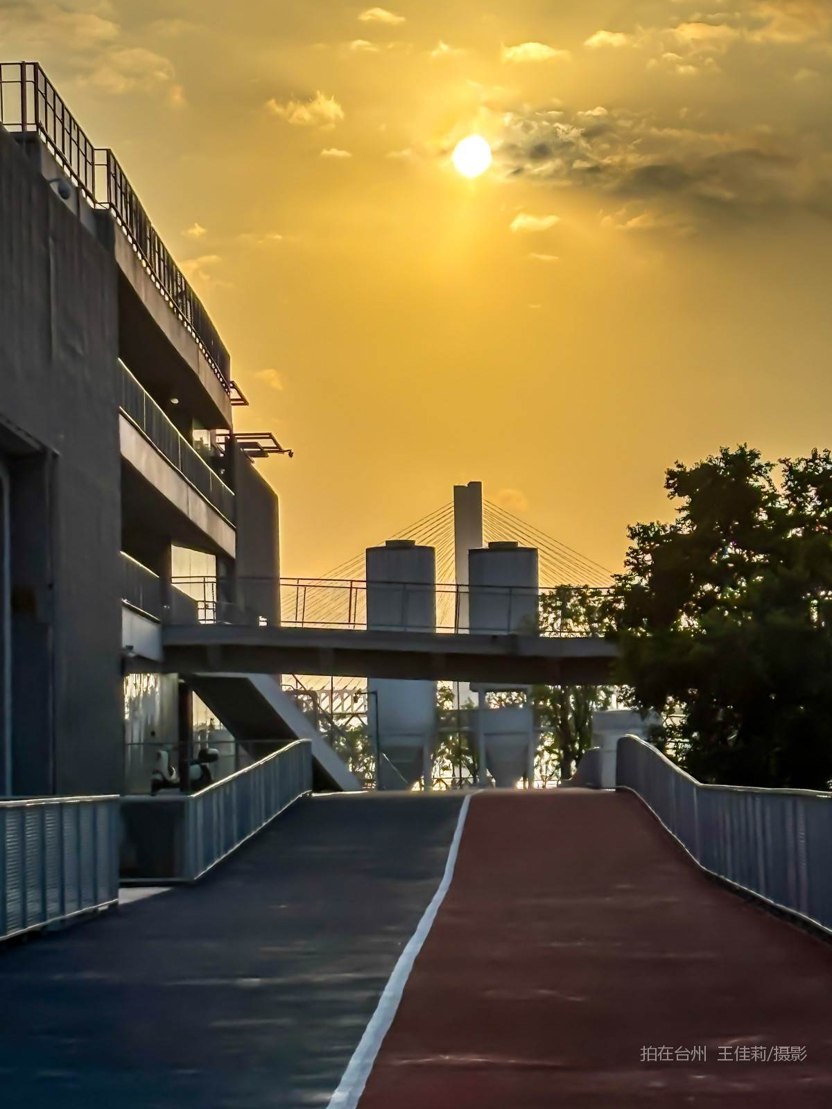  椒江区葭沚街道 大桥体育公园(图8)