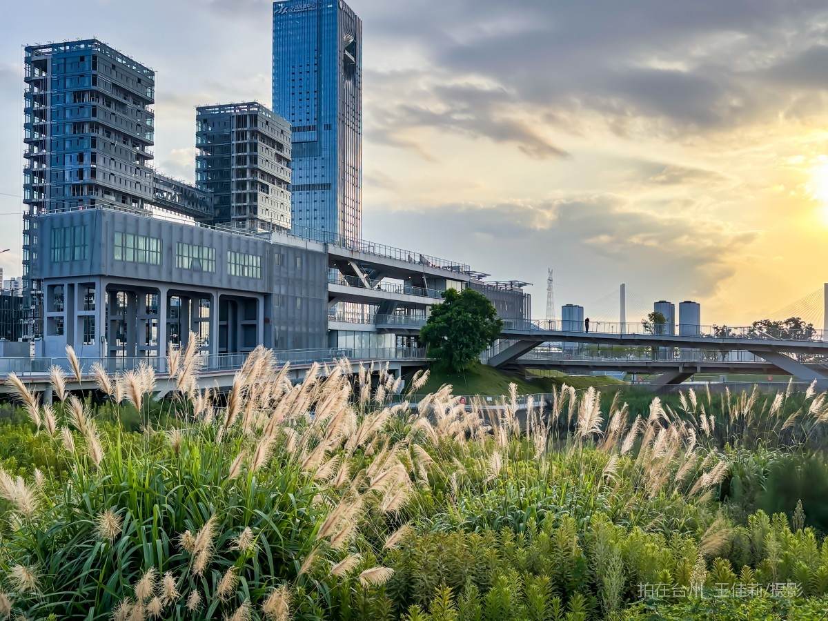  椒江区葭沚街道 大桥体育公园(图2)