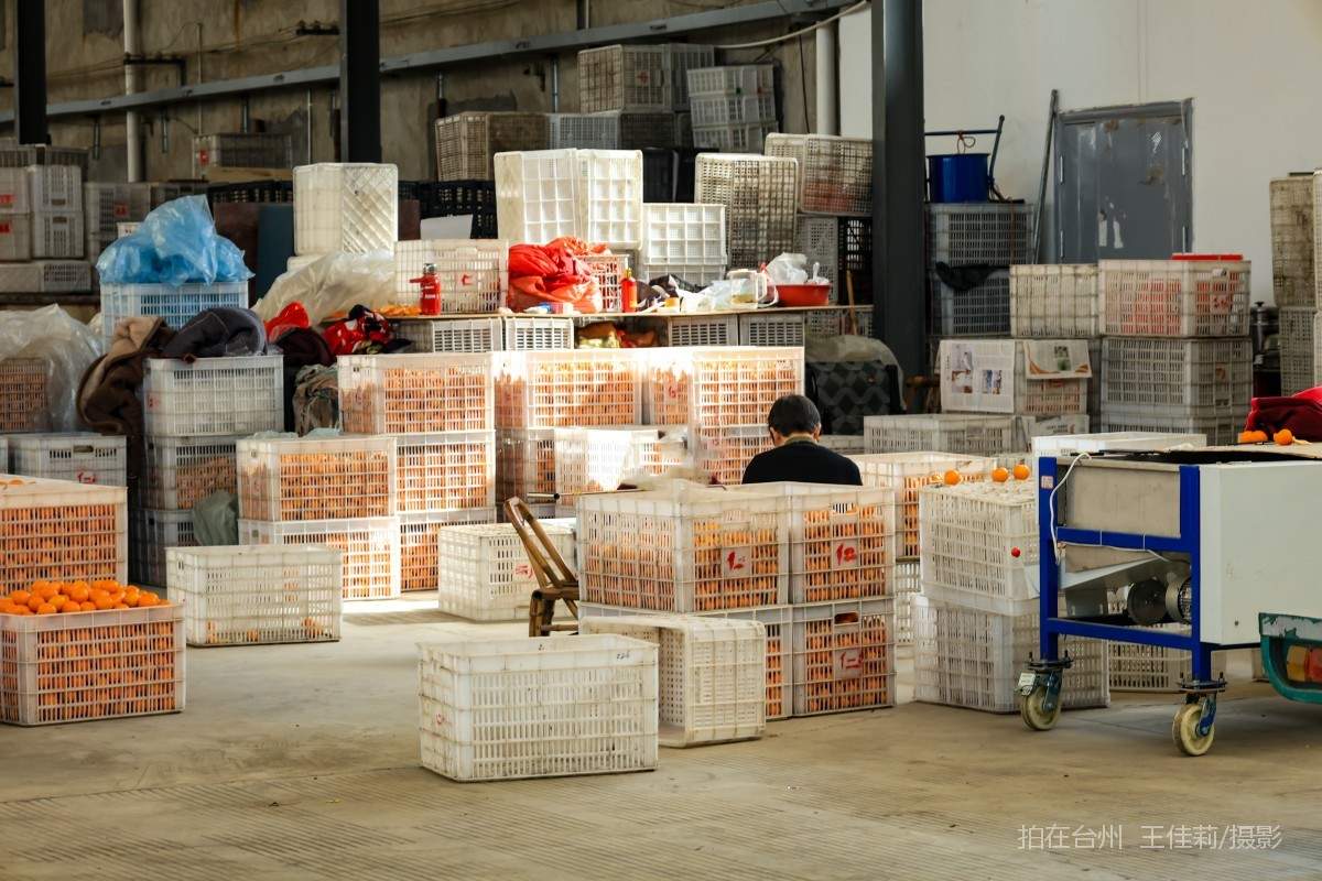 路桥路北街道 台州市路桥水果批发市场  购物(图9)