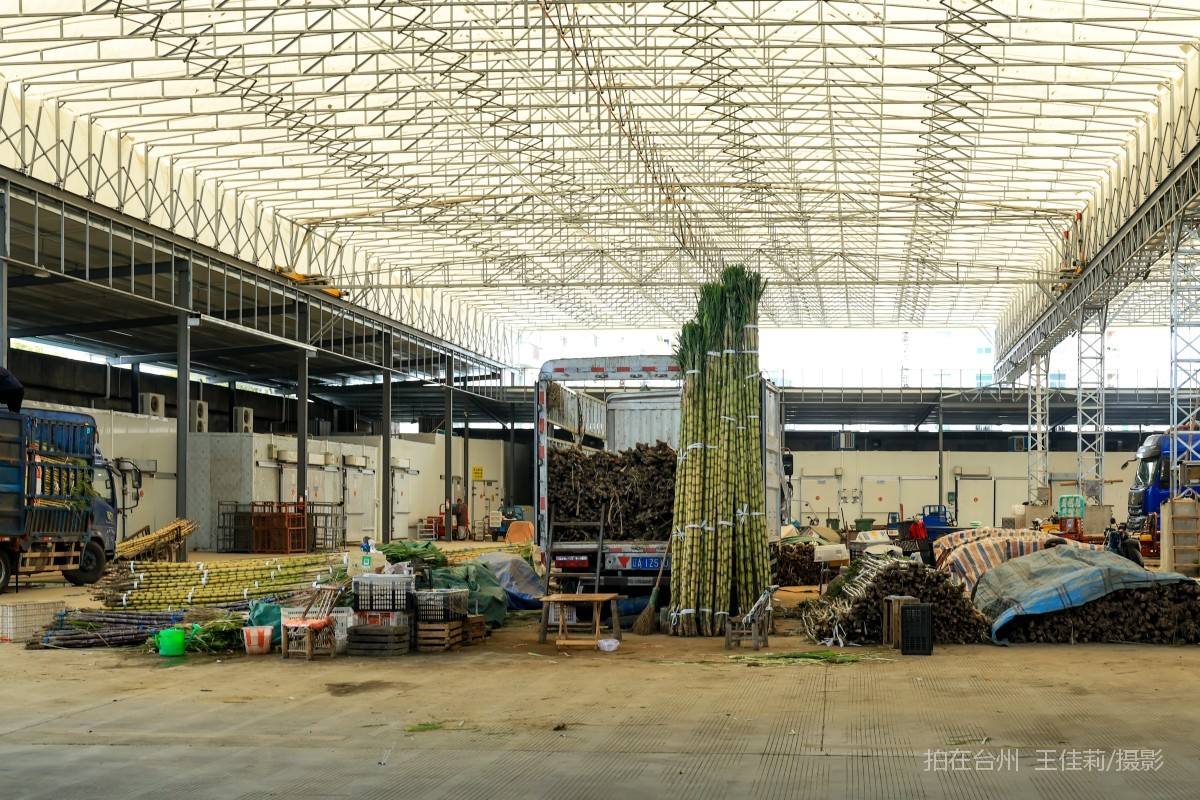 路桥路北街道 台州市路桥水果批发市场  购物(图13)