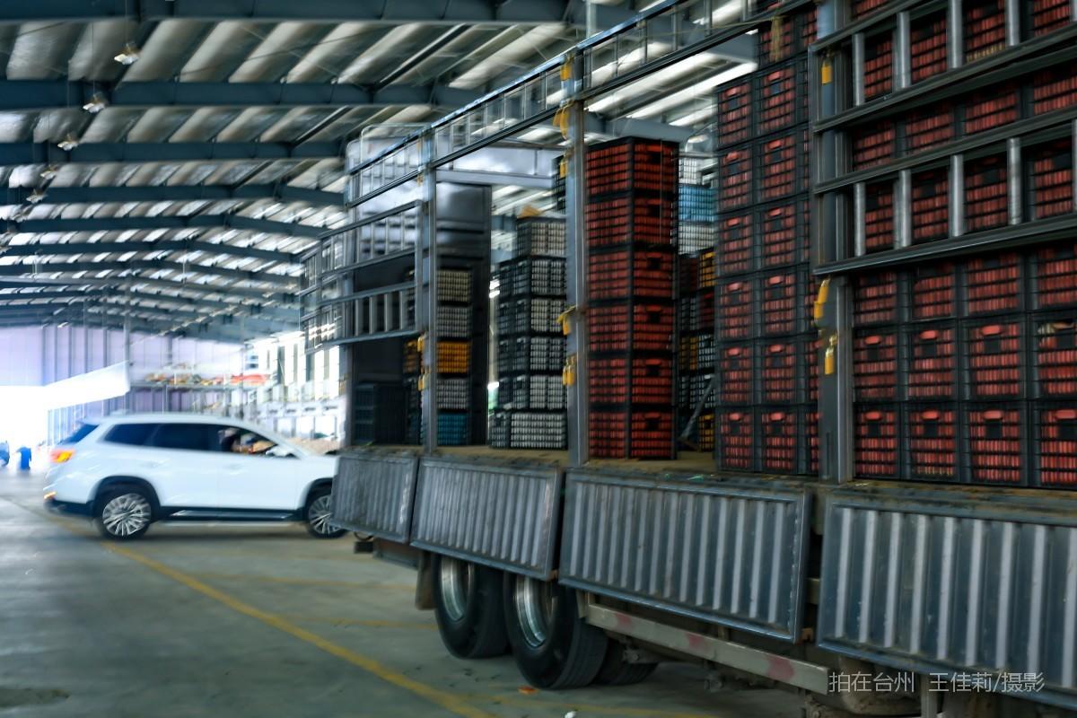 路桥路北街道 台州市路桥水果批发市场  购物(图11)