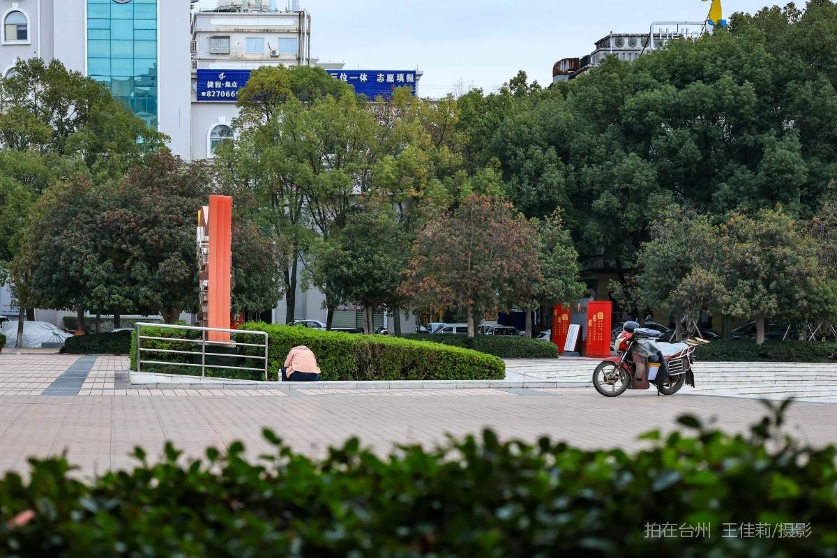 路桥路北街道 永安广场  公园(图17)