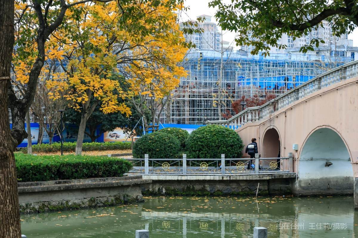 路桥路北街道 永安广场  公园(图10)