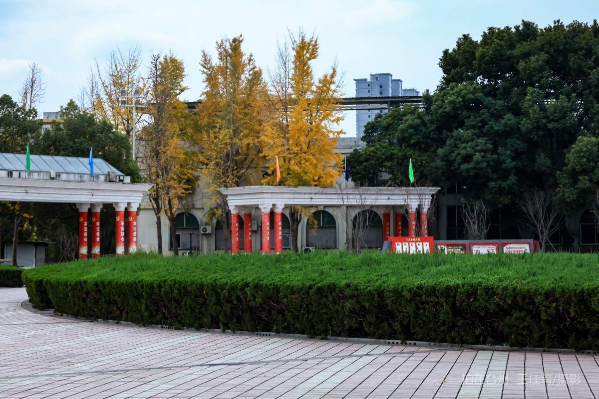 路桥路北街道 永安广场  公园(图4)