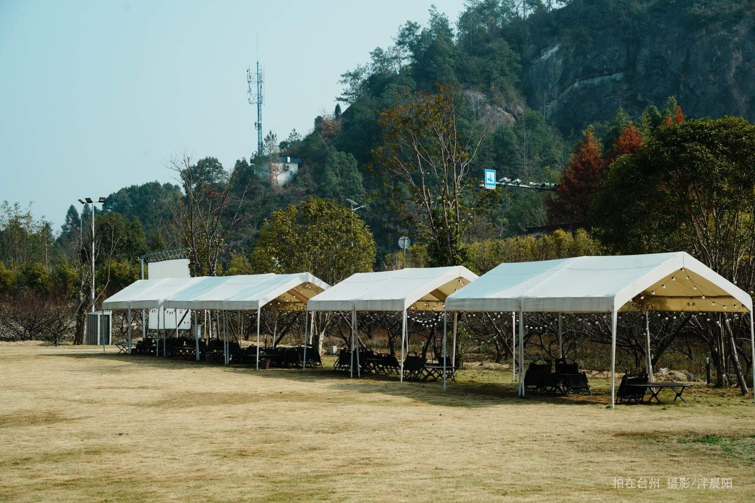 仙居感德村栖野露营 休闲茶饮(图19)