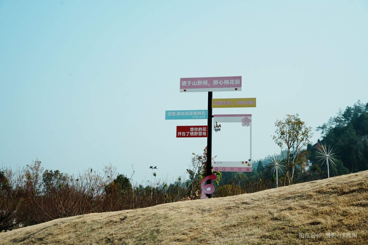 仙居感德村栖野露营 休闲茶饮(图15)