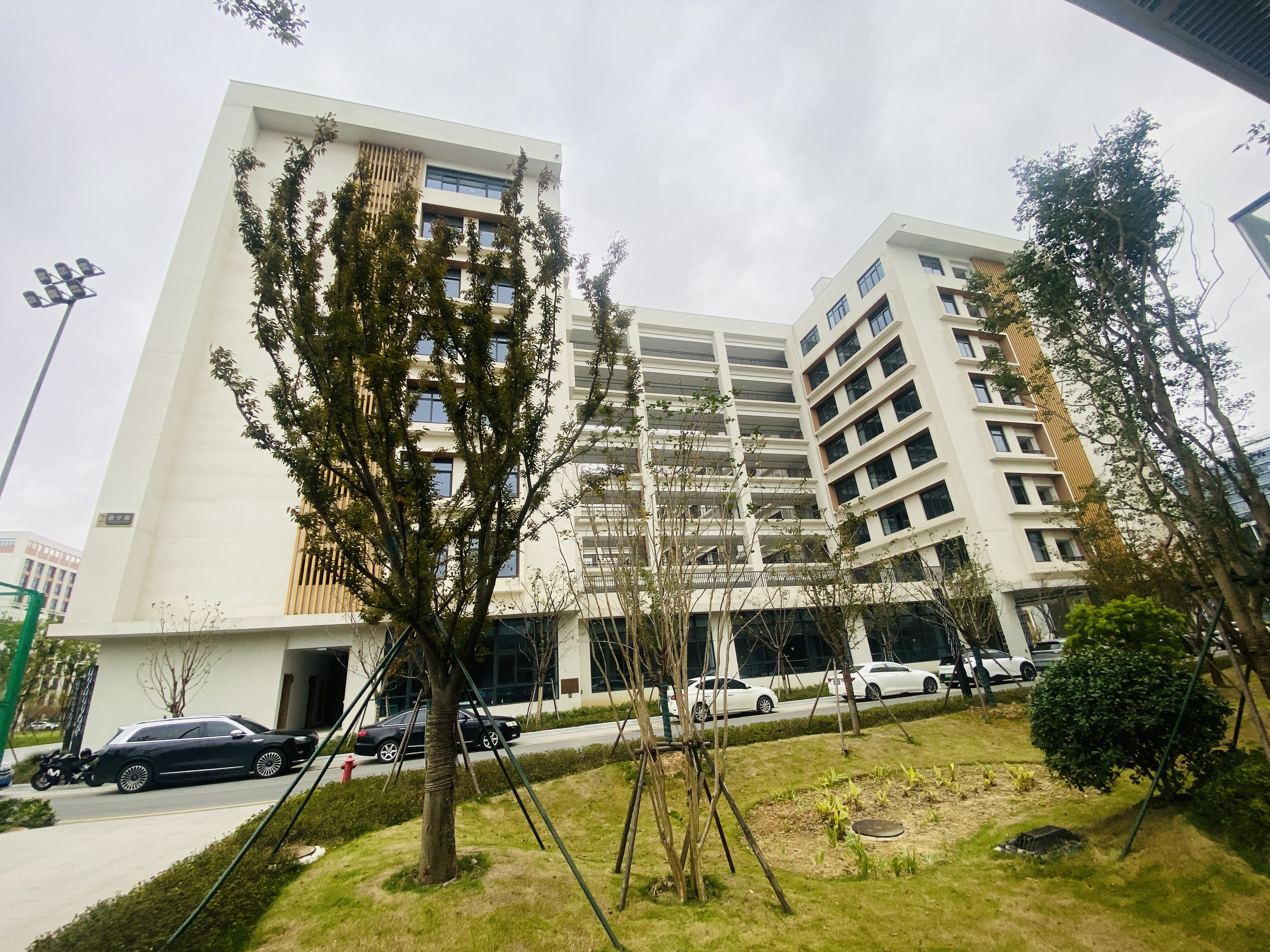 台州湾海虹街道 台州湾新区航空学校 影棚搭建(图3)