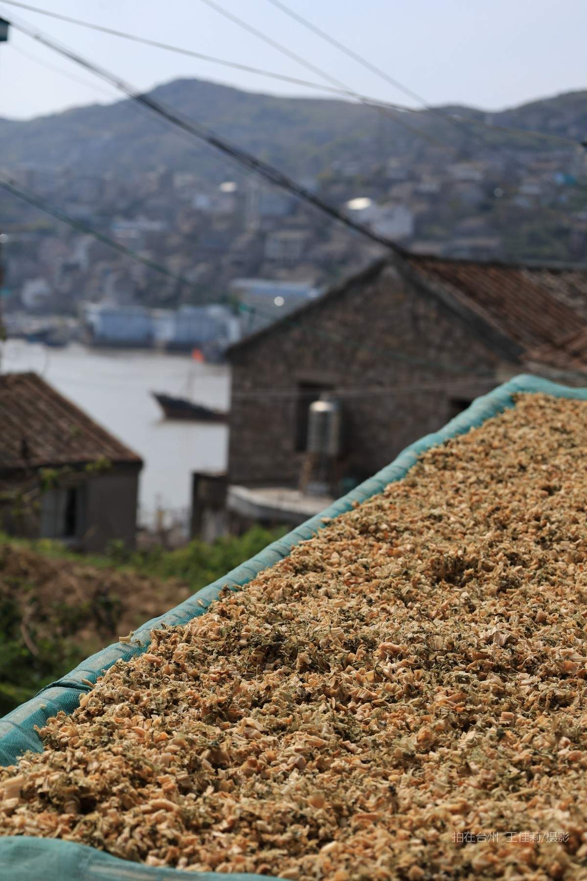 温岭市石塘镇隔海村 隔海山岛 码头渔村(图13)