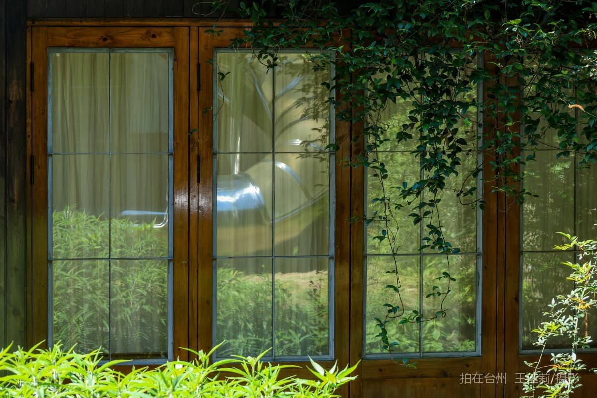 仙居县淡竹乡 不如方民宿(图3)