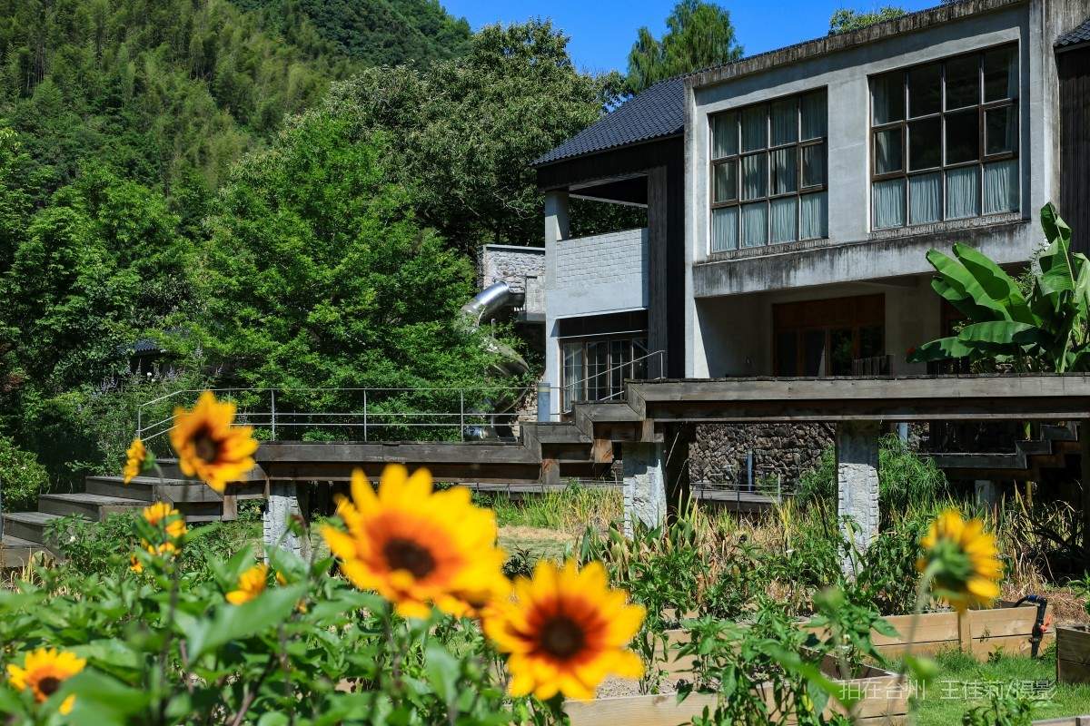 仙居县淡竹乡 不如方民宿(图1)