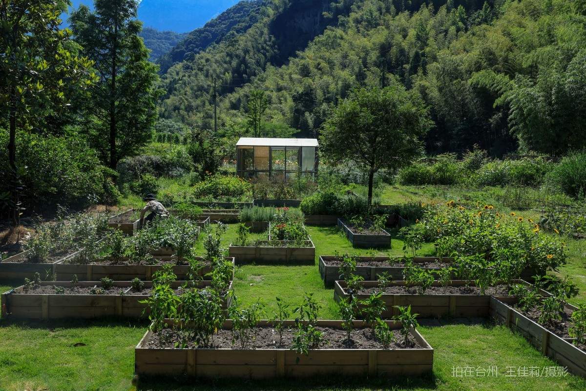 仙居县淡竹乡 不如方民宿