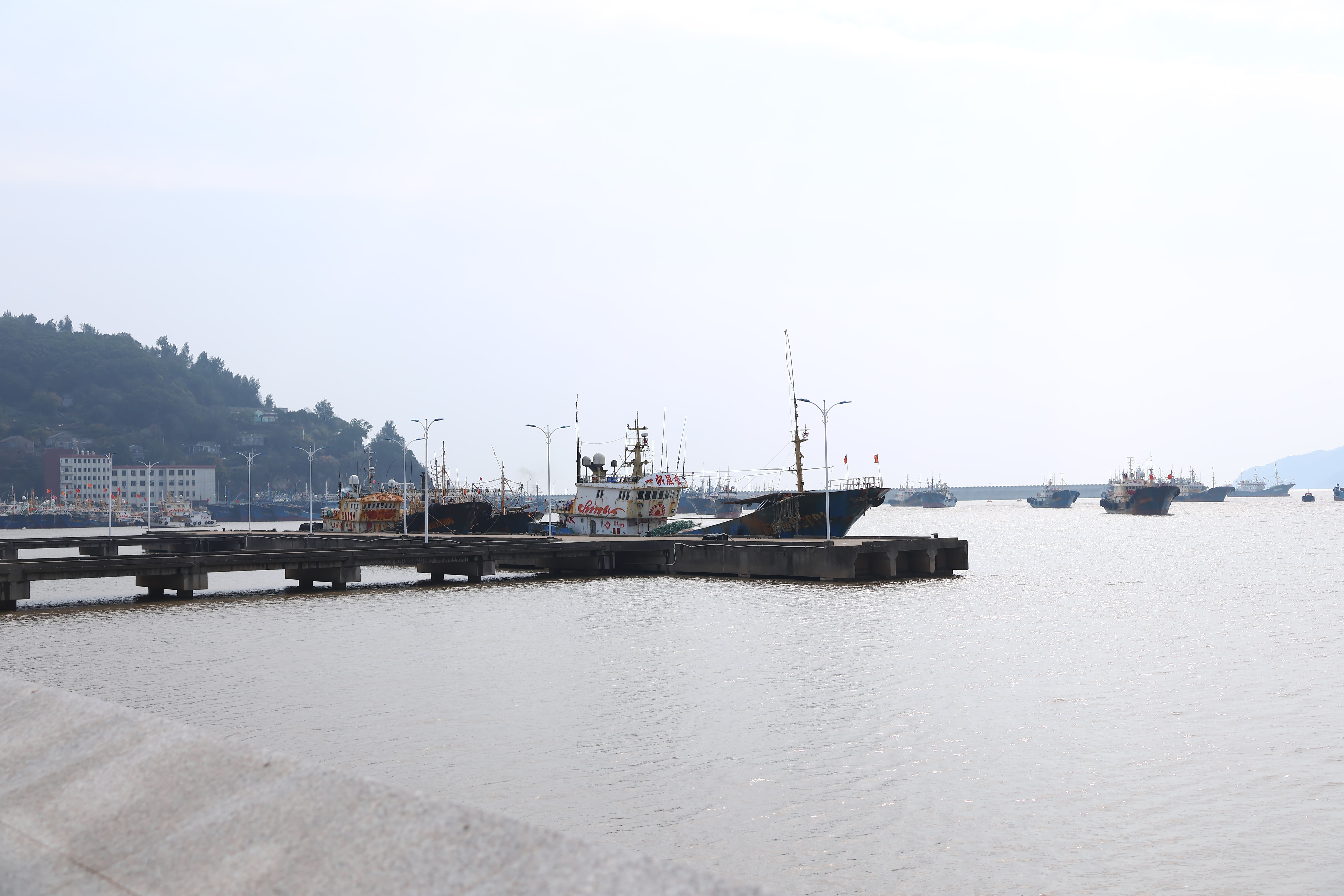 坎门街道 渔港码头(图18)