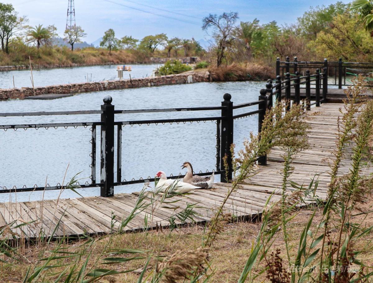 玉环江岩岛 码头(图13)