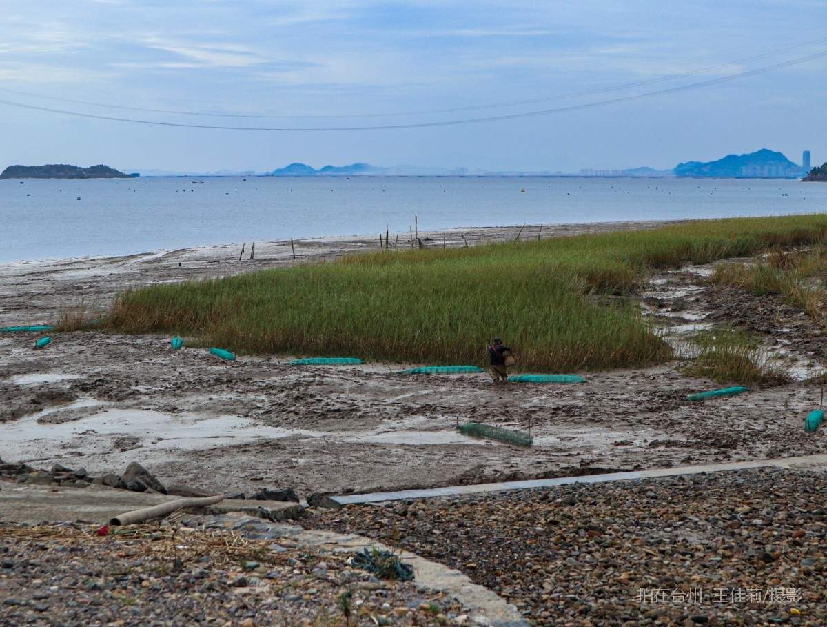 玉环江岩岛 码头(图12)