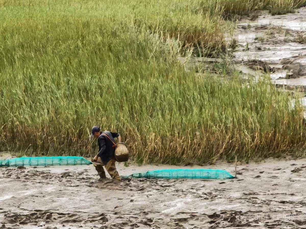 玉环江岩岛 码头(图3)