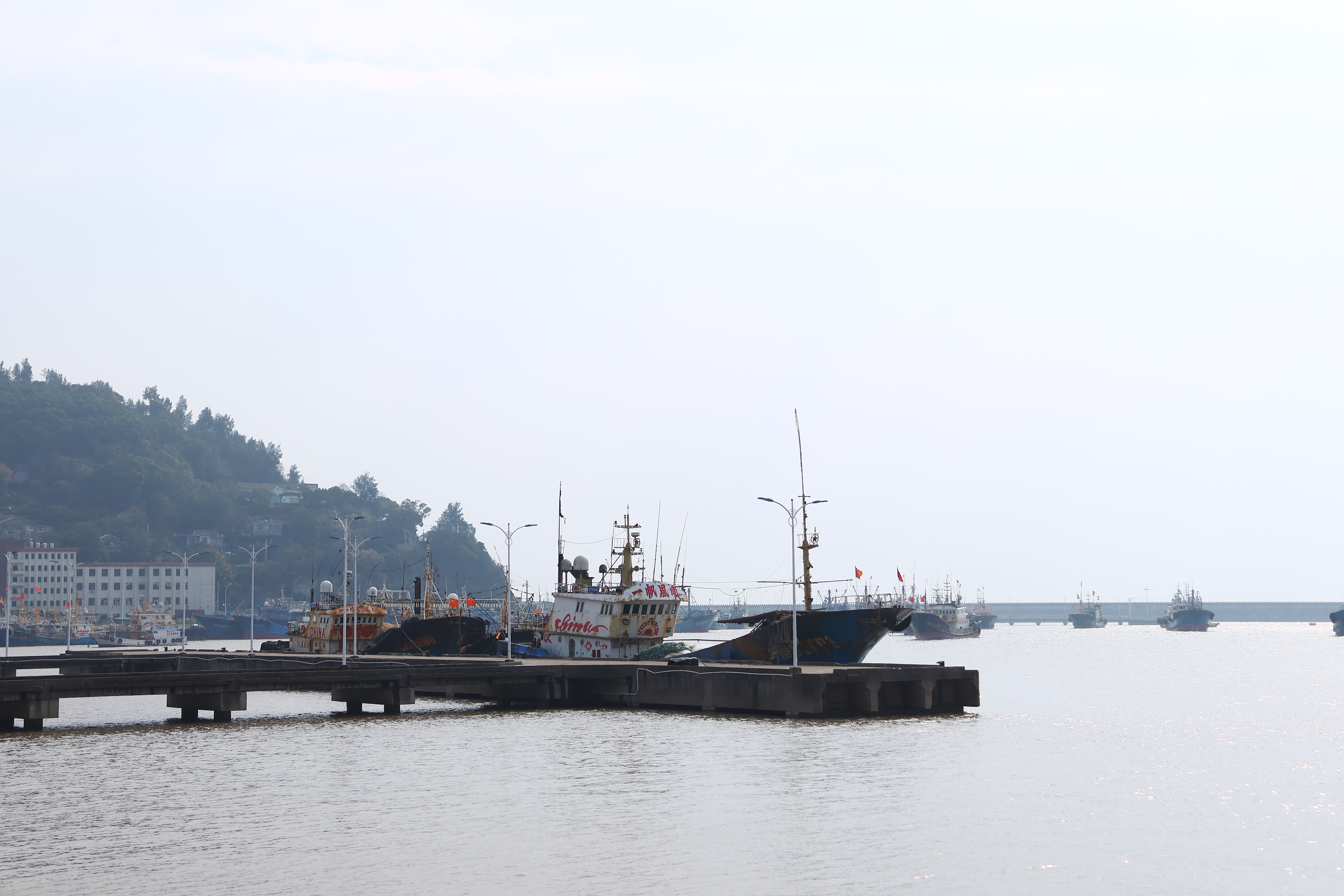 坎门街道 渔港码头(图9)