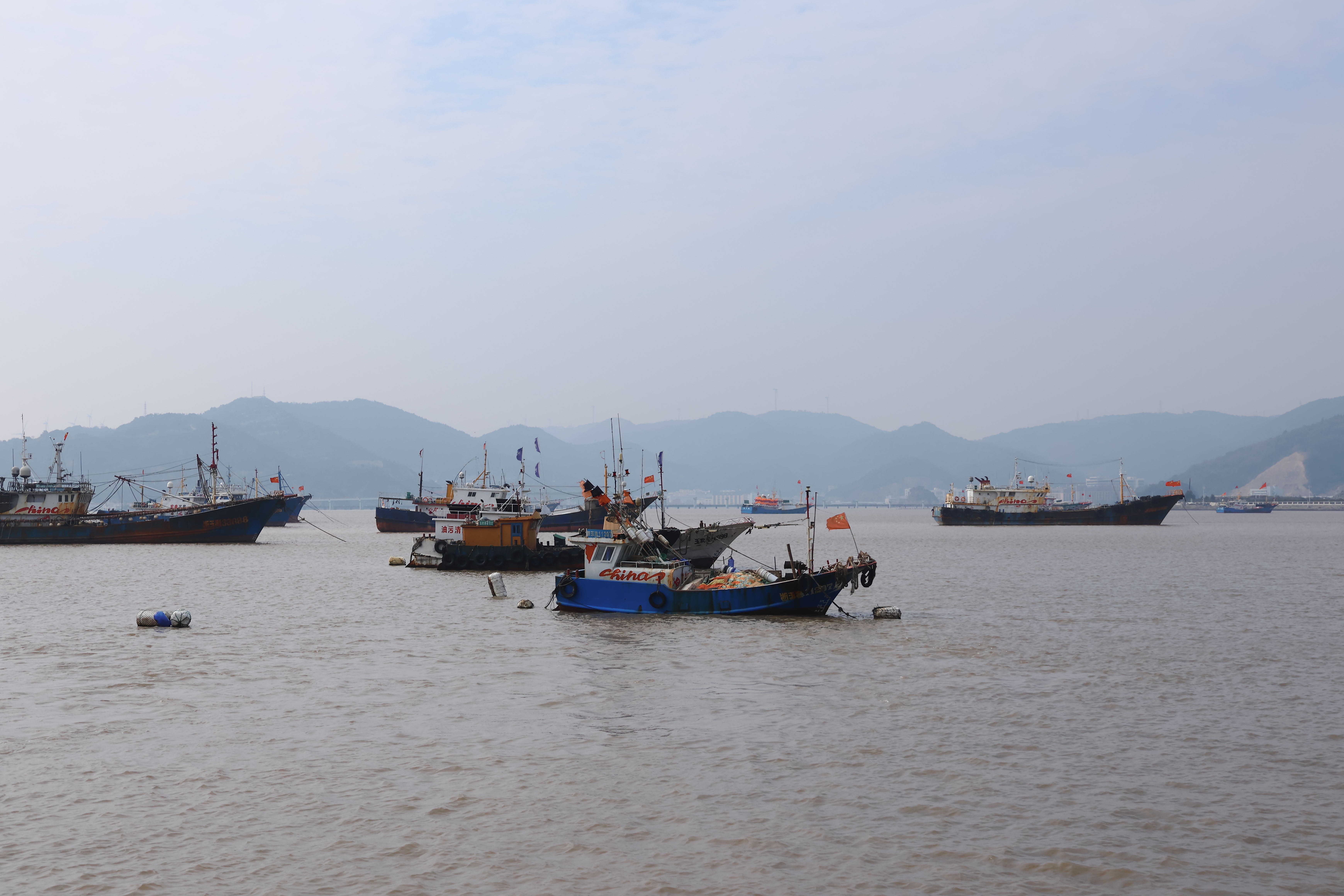 坎门街道 渔港码头(图3)