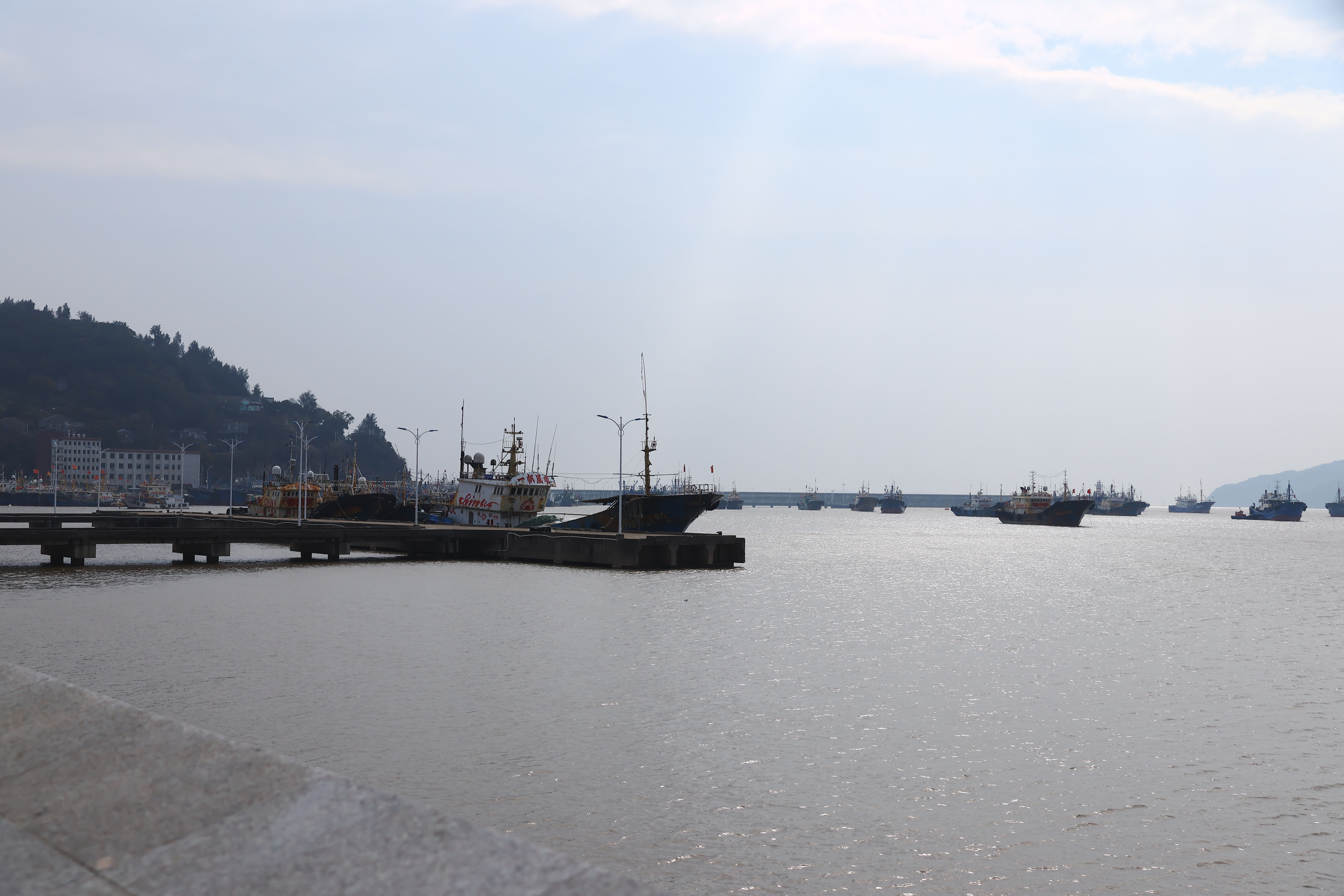 坎门街道 渔港码头(图2)