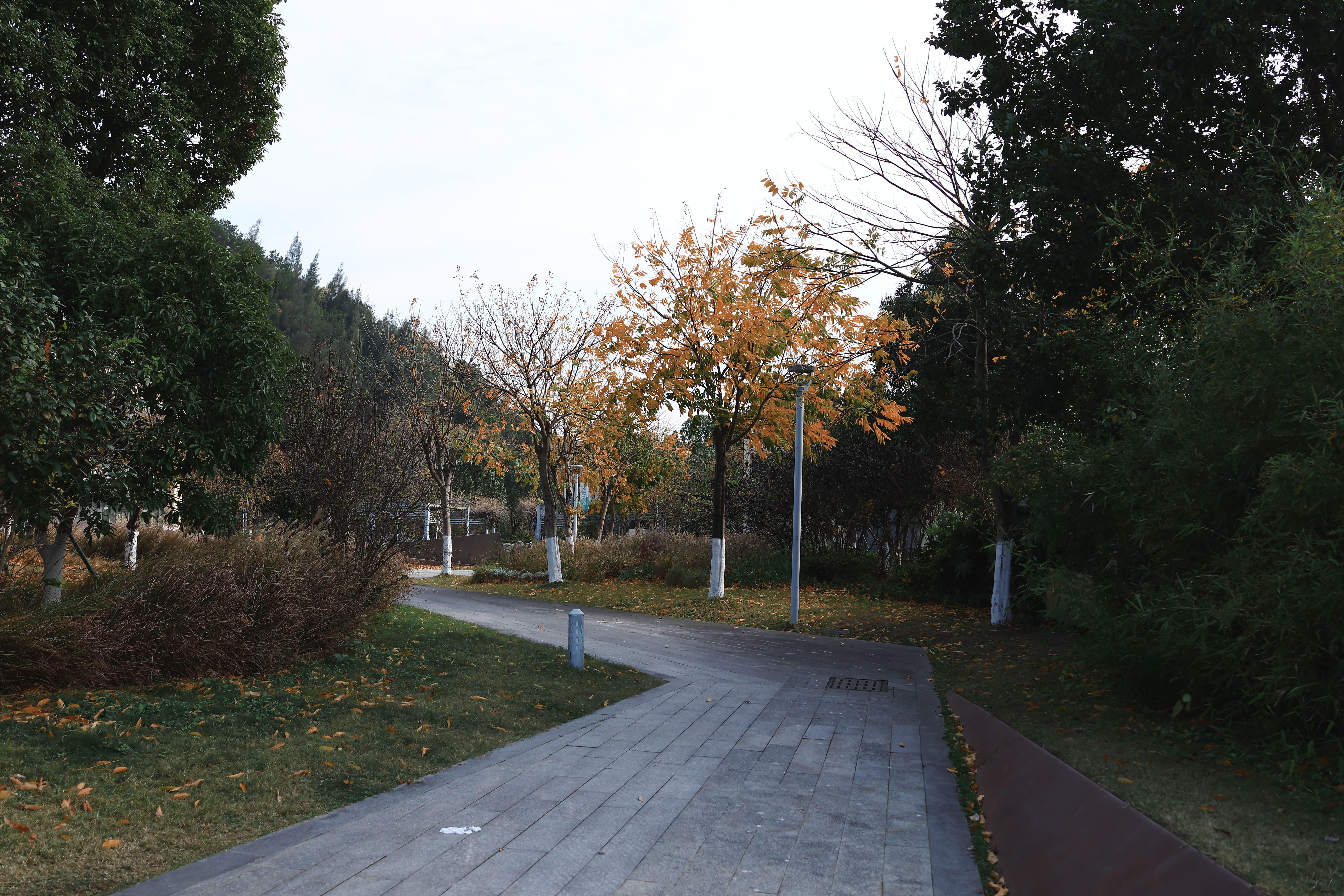 玉环街道 榴岛文化广场 公园(图13)