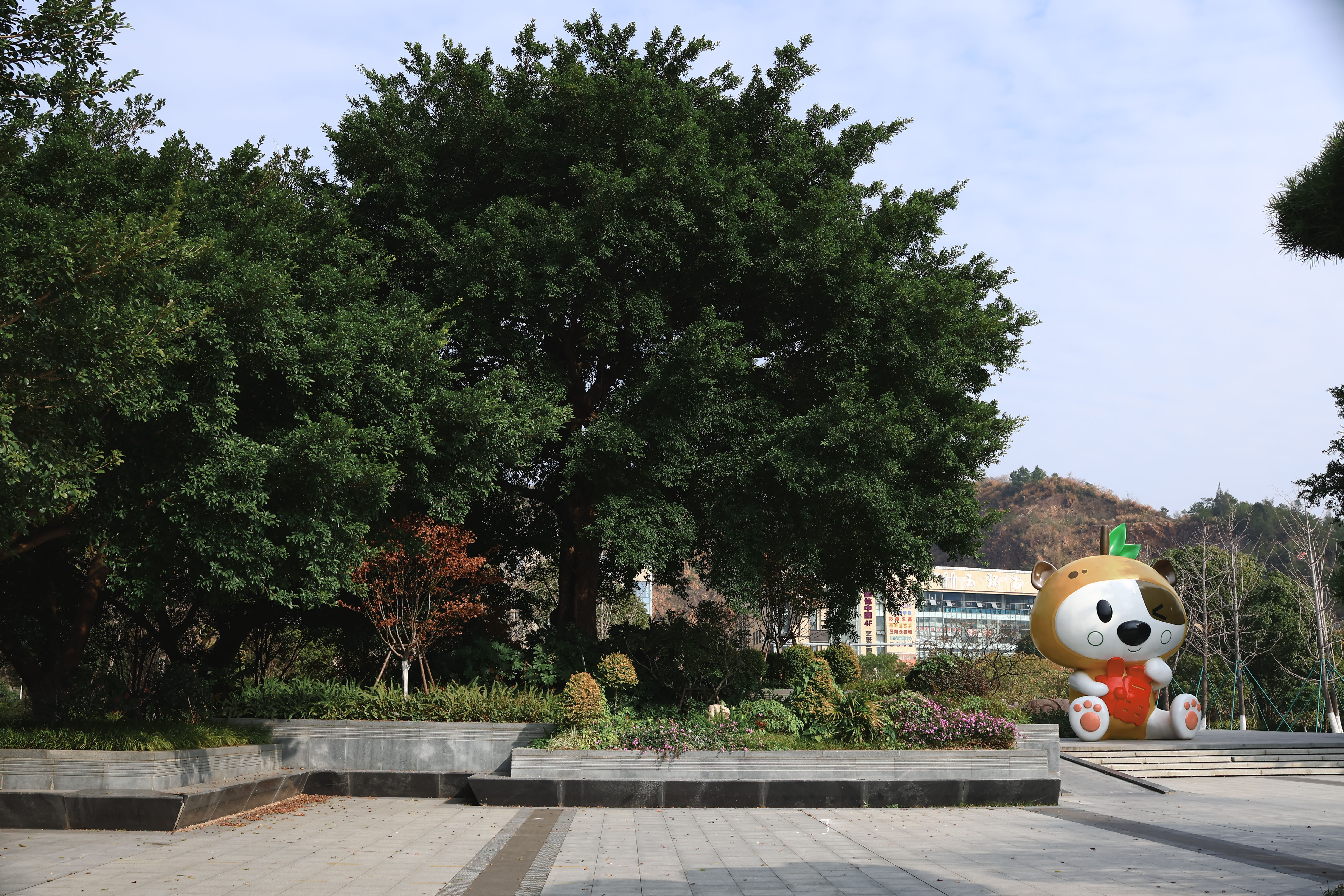 玉环街道 榴岛文化广场 公园(图2)