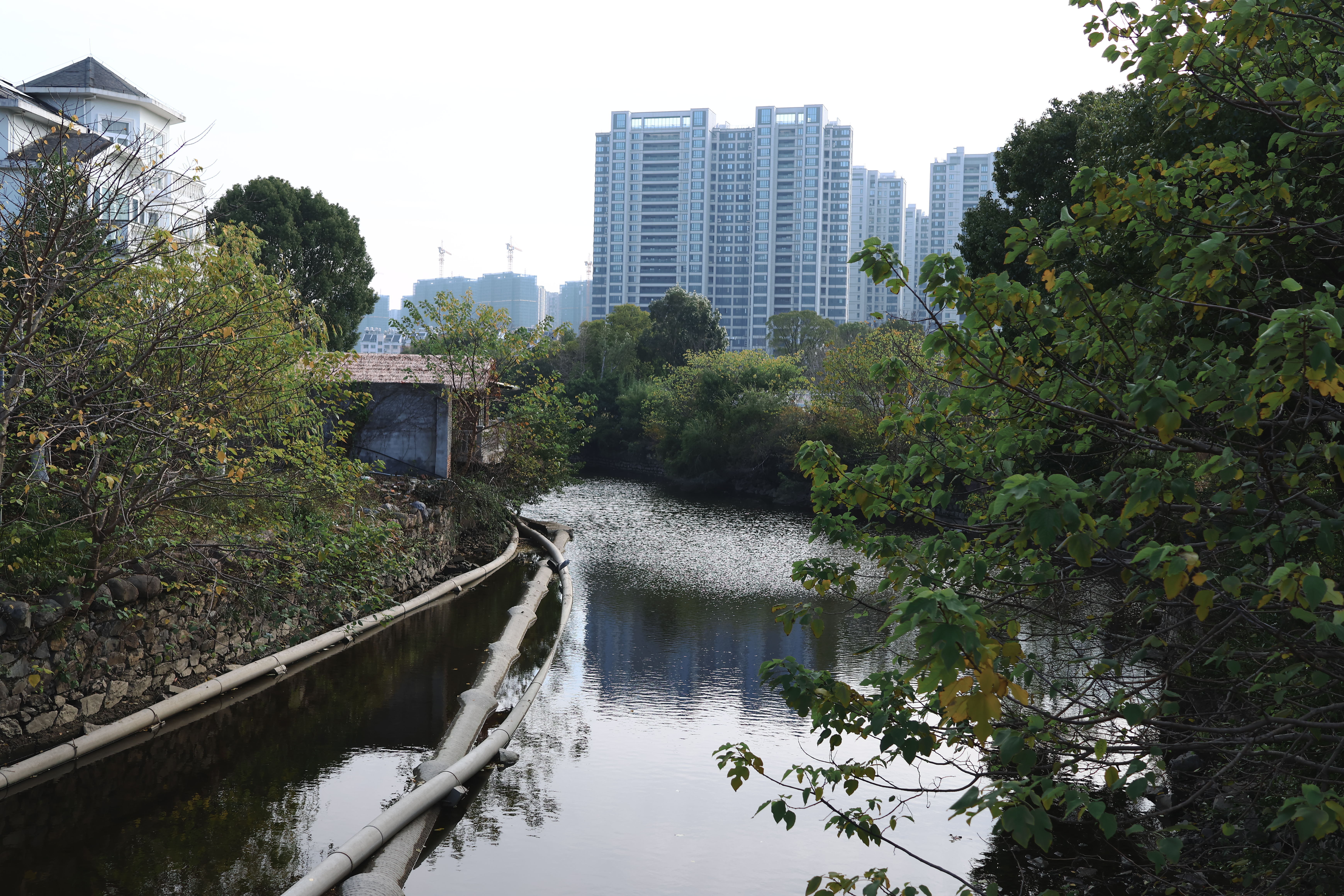 玉环街道 榴岛文化广场 公园(图11)