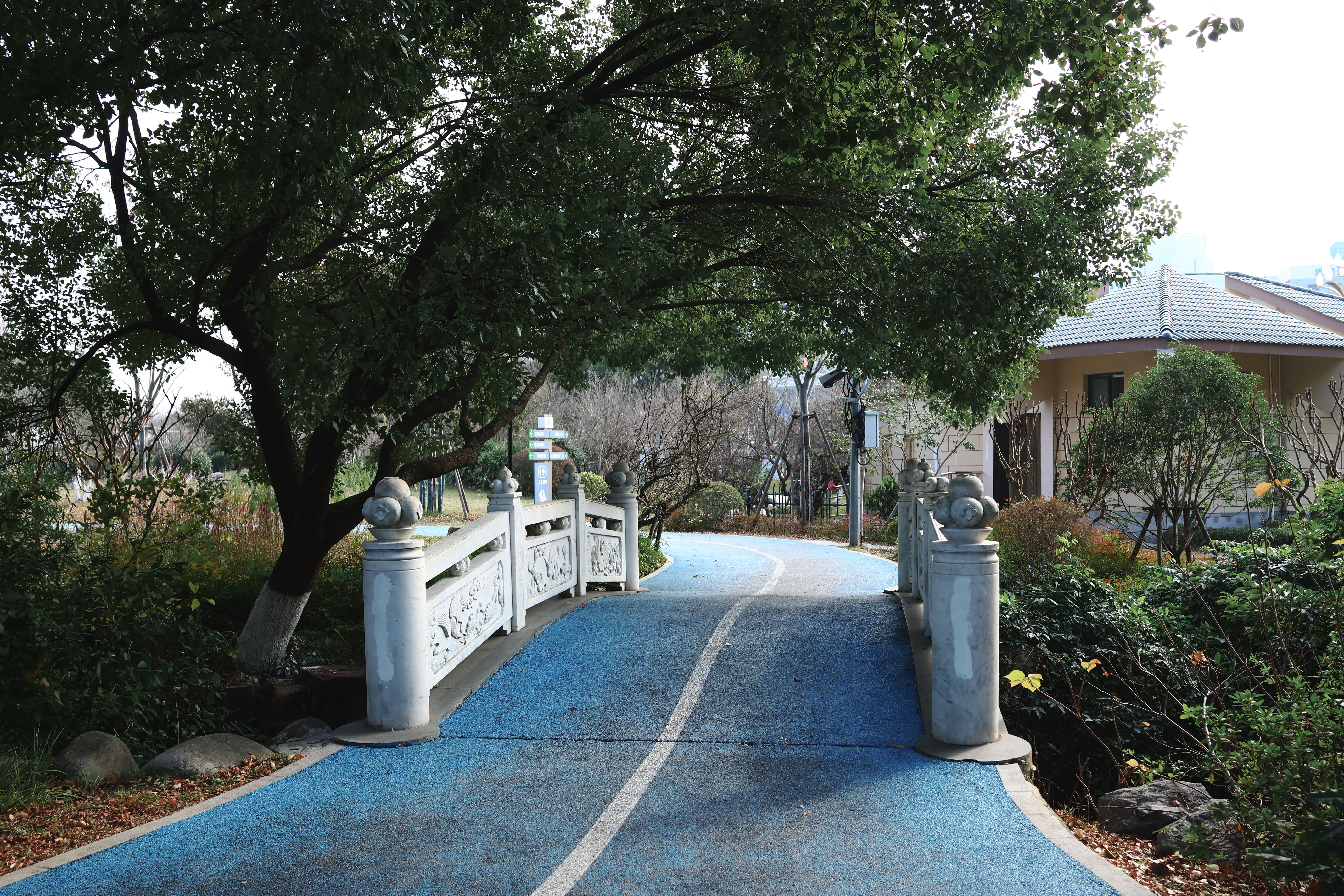 玉环街道 榴岛文化广场 公园(图9)