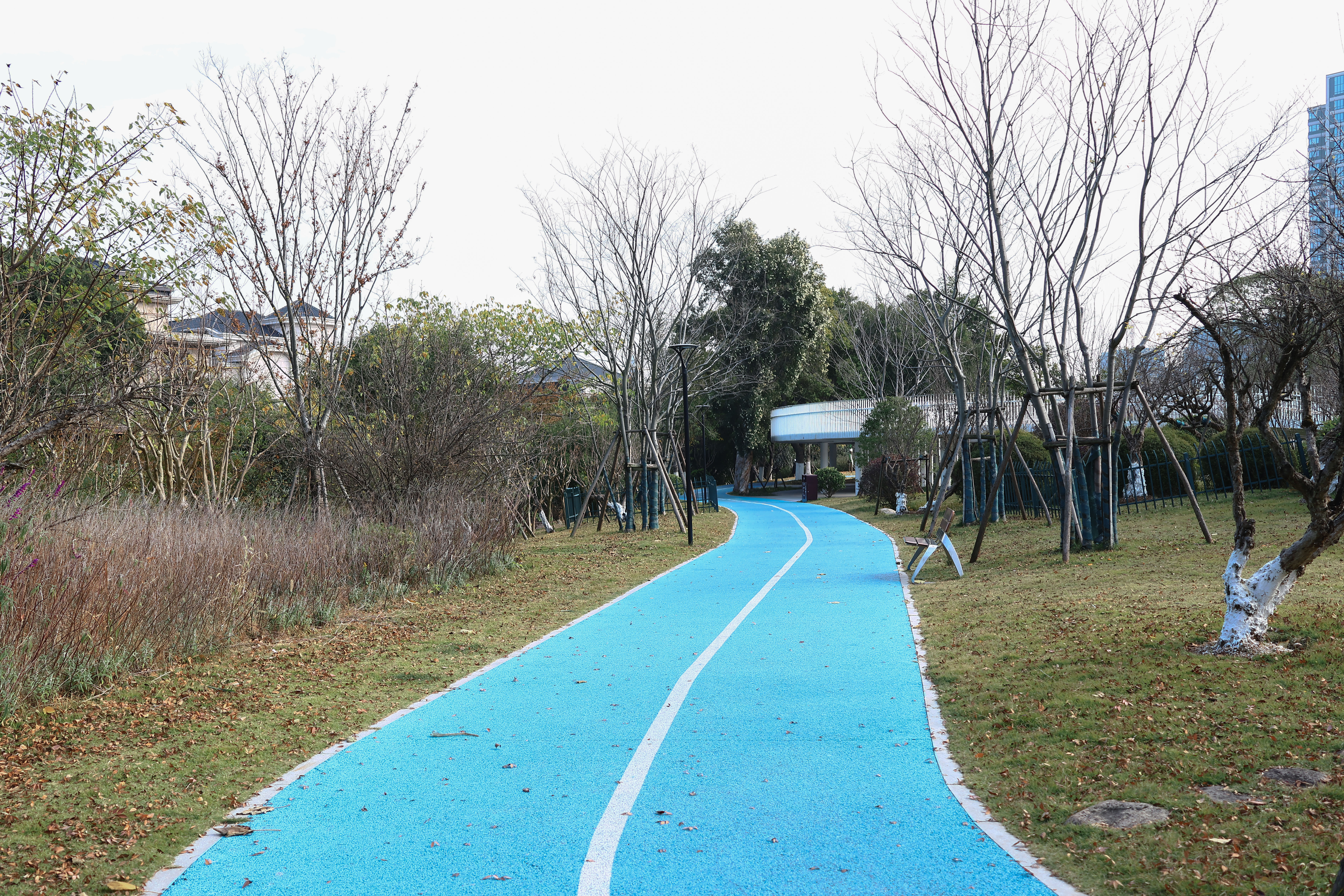 玉环街道 榴岛文化广场 公园(图8)