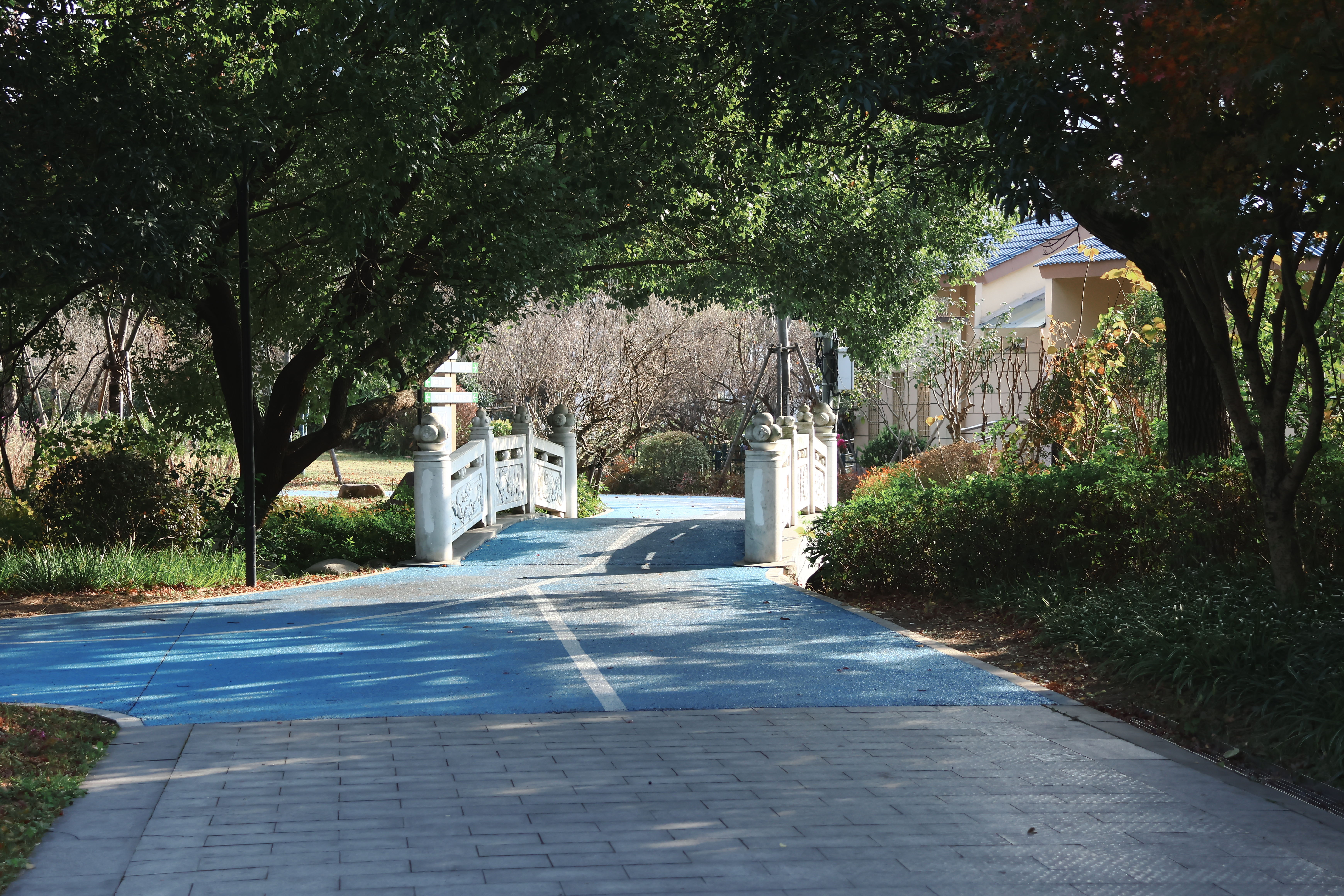 玉环街道 榴岛文化广场 公园(图4)