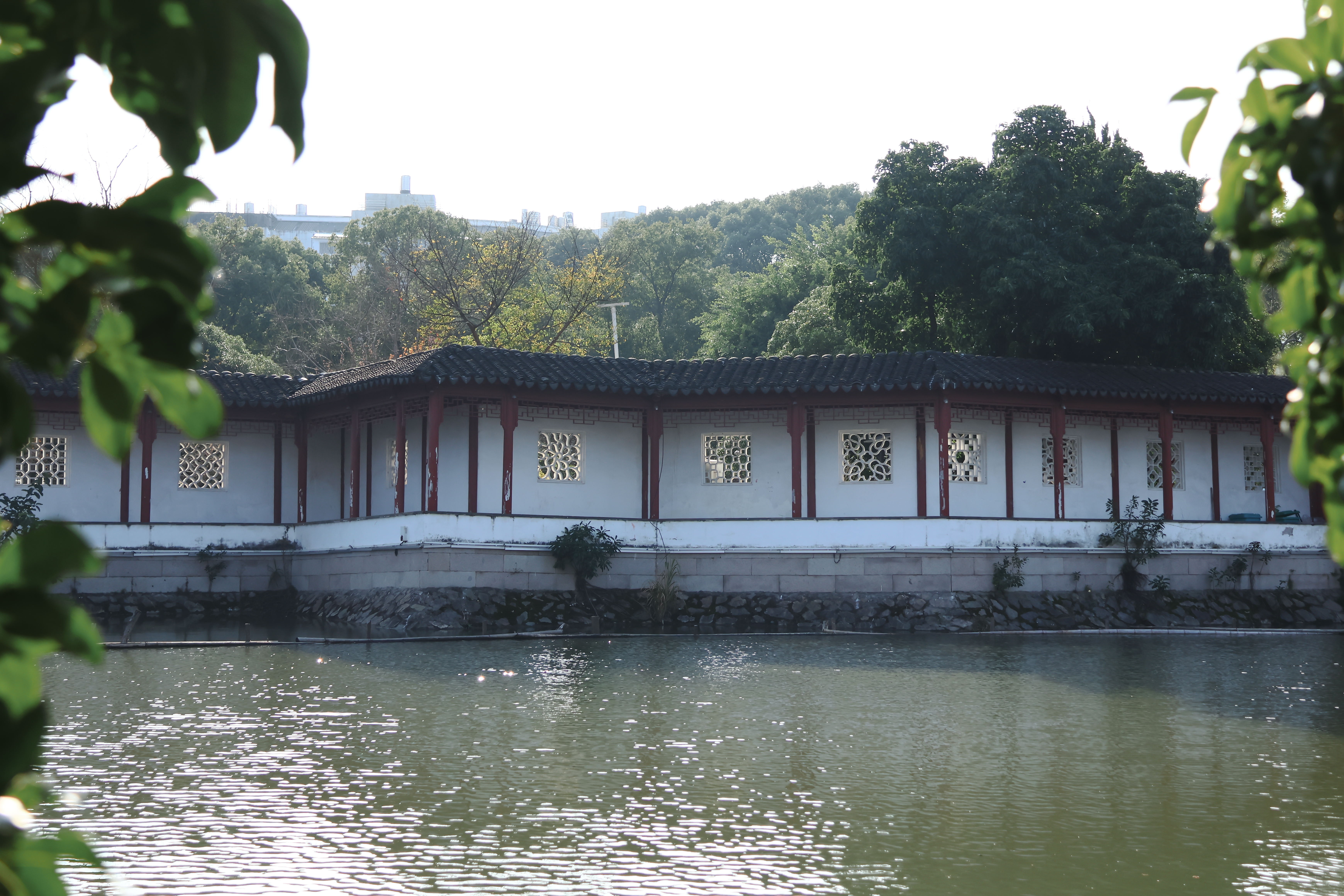 玉环街道 玉环公园(图17)