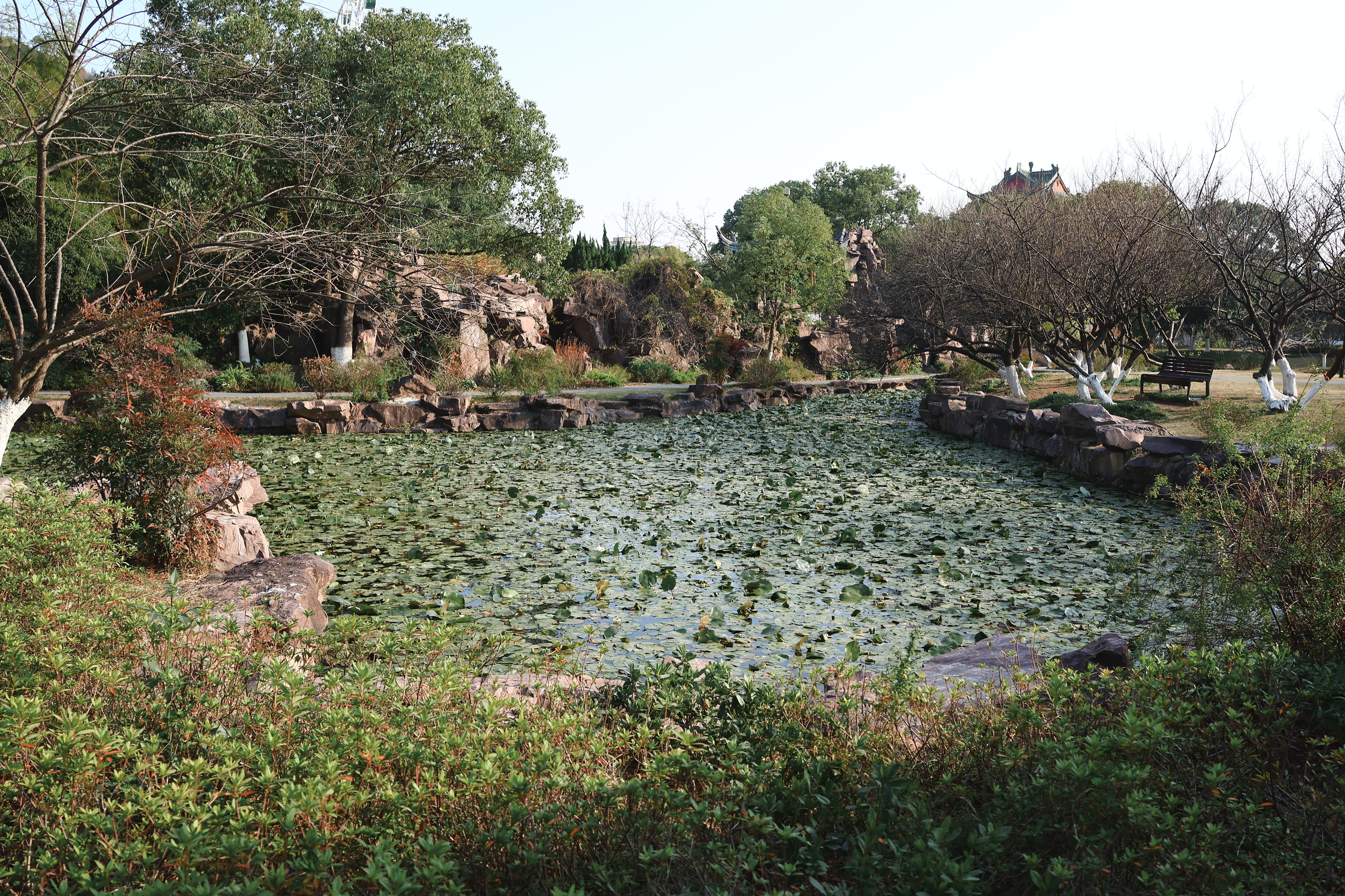 玉环街道 玉环公园(图20)