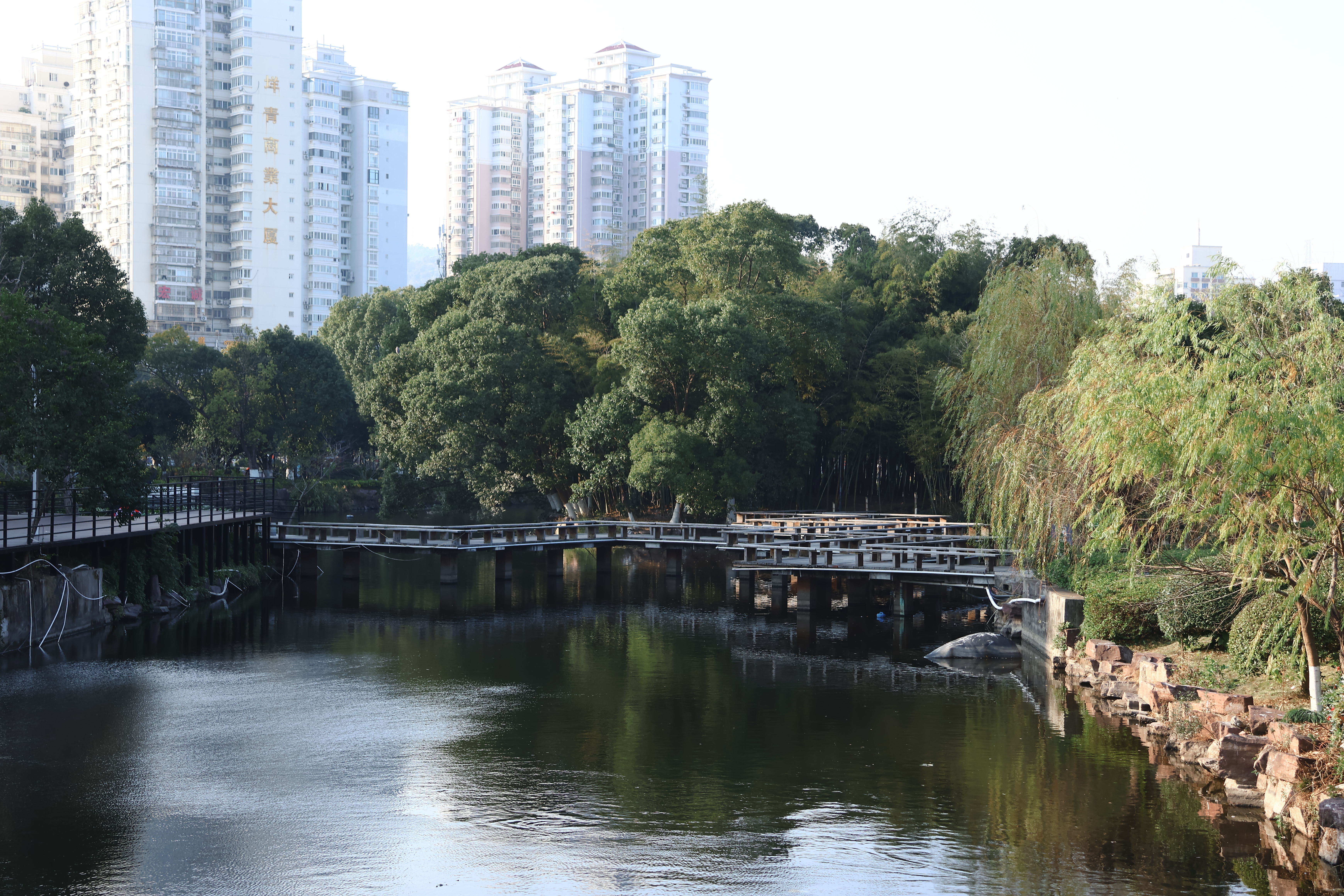 玉环街道 玉环公园(图7)