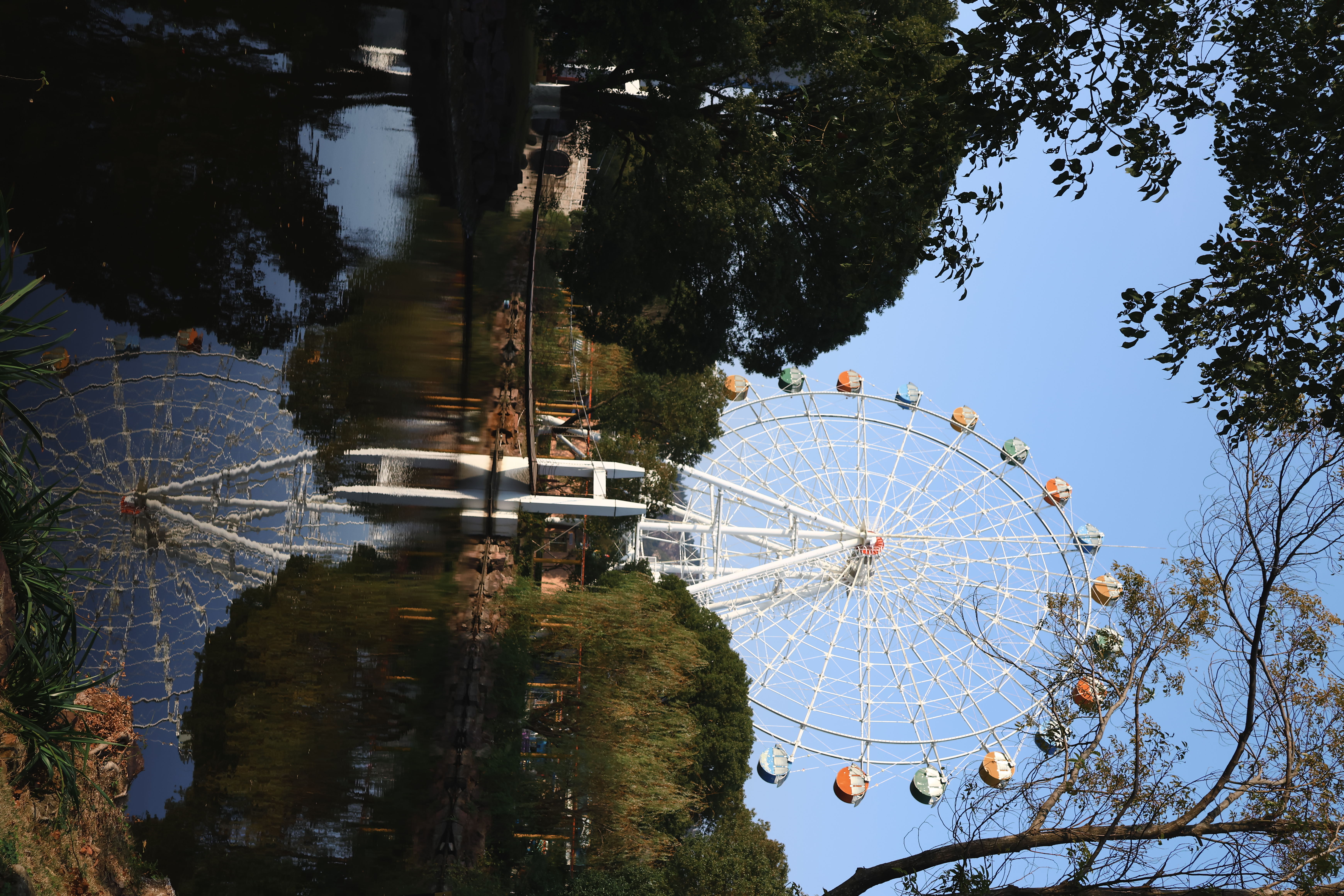 玉环街道 玉环公园(图5)