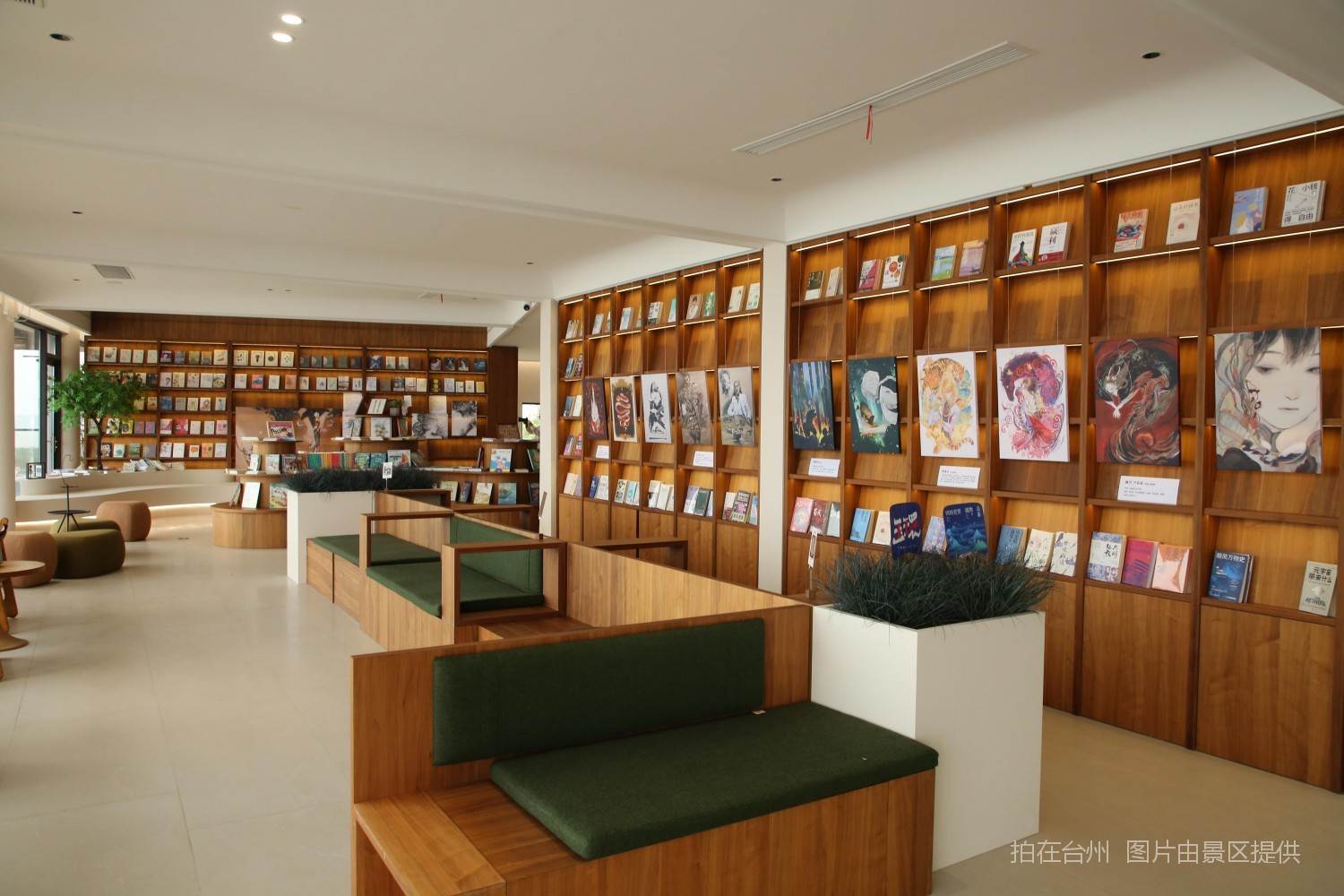 玉环上栈头景区悬崖书吧·咖啡——海景文化空间影视拍摄推荐(图4)