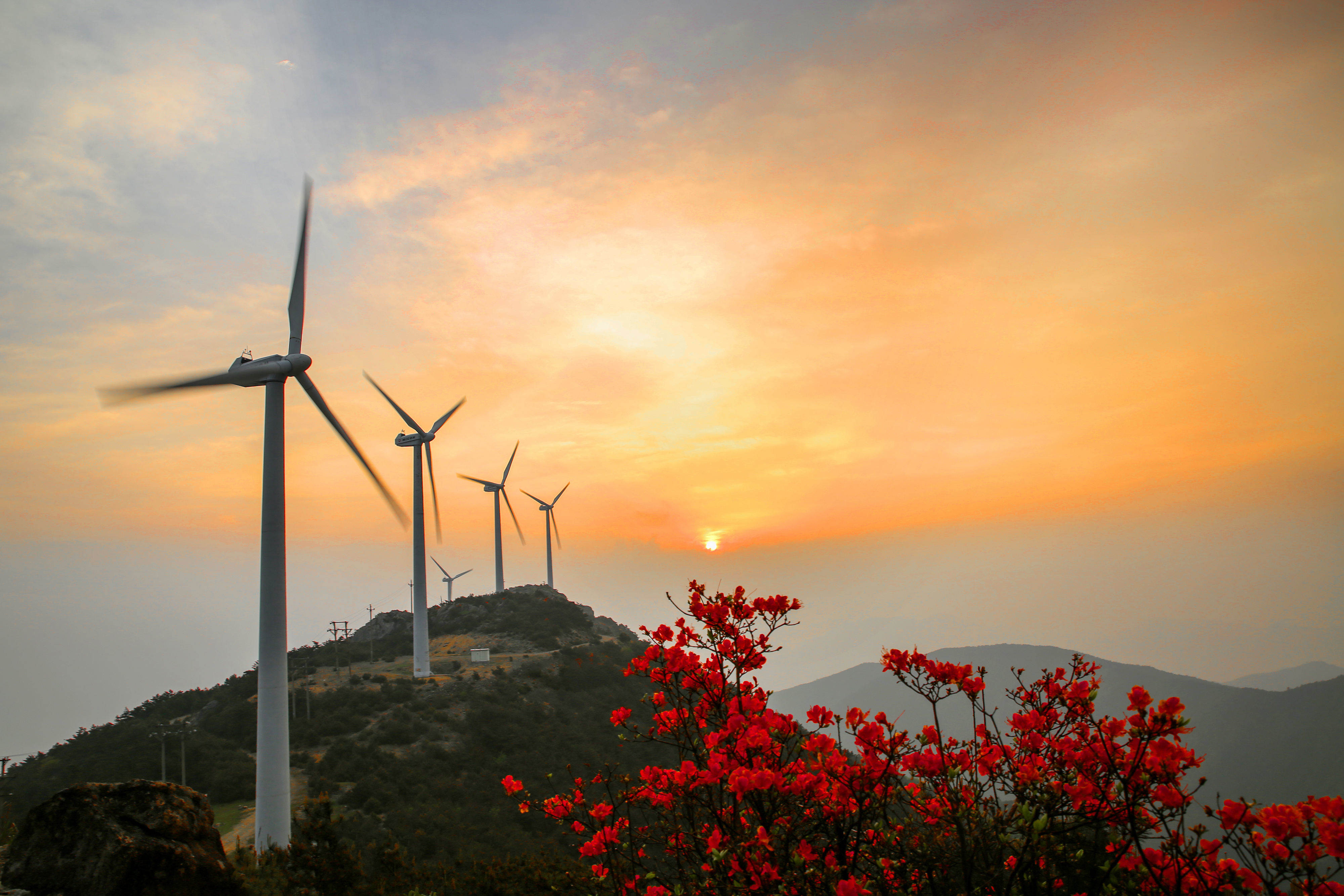 临海市括苍山米筛浪 （日出日落，治愈）(图15)