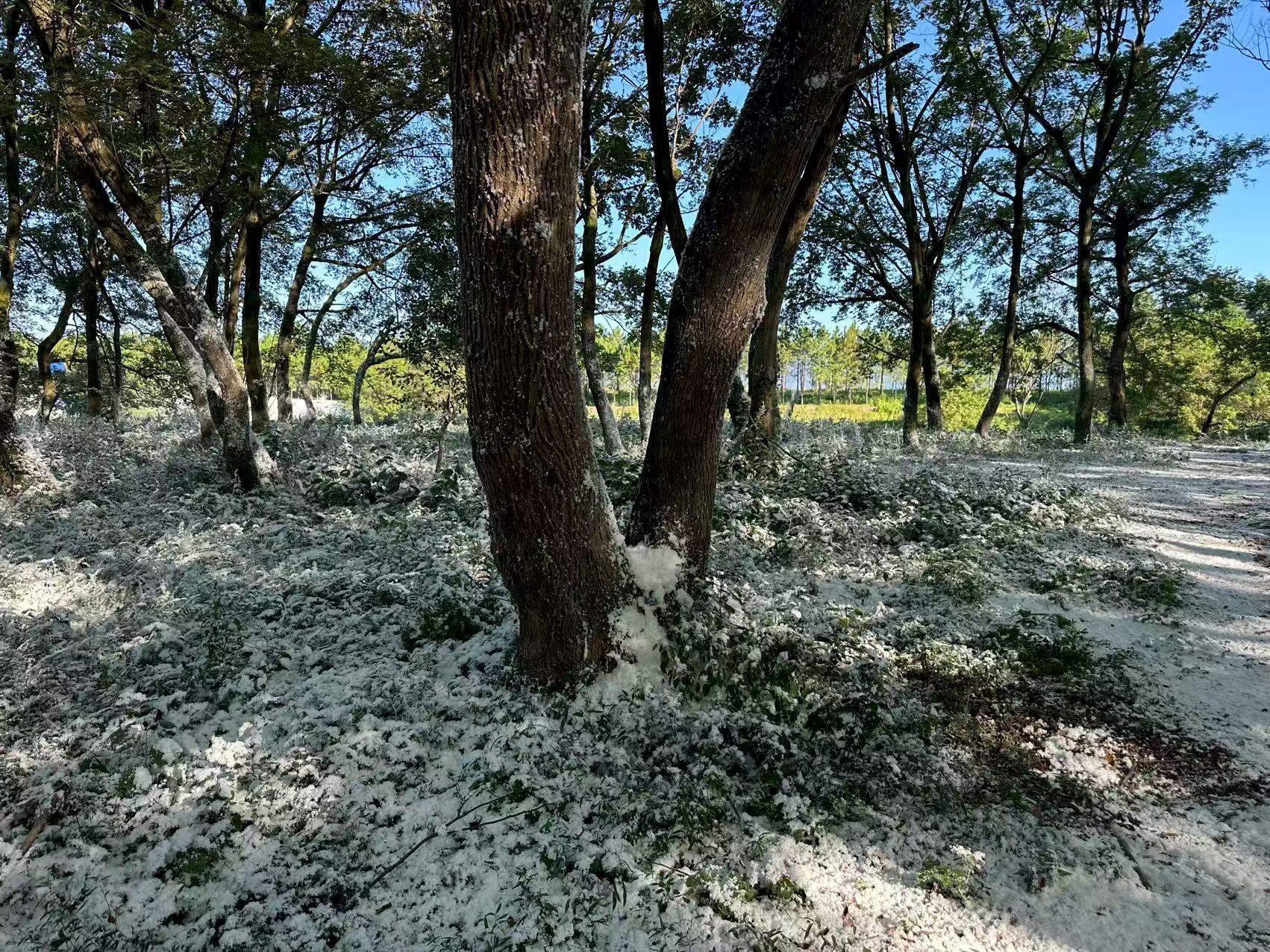 重点革命历史剧《伟大的长征》台州取景拍摄圆满收官(图7)