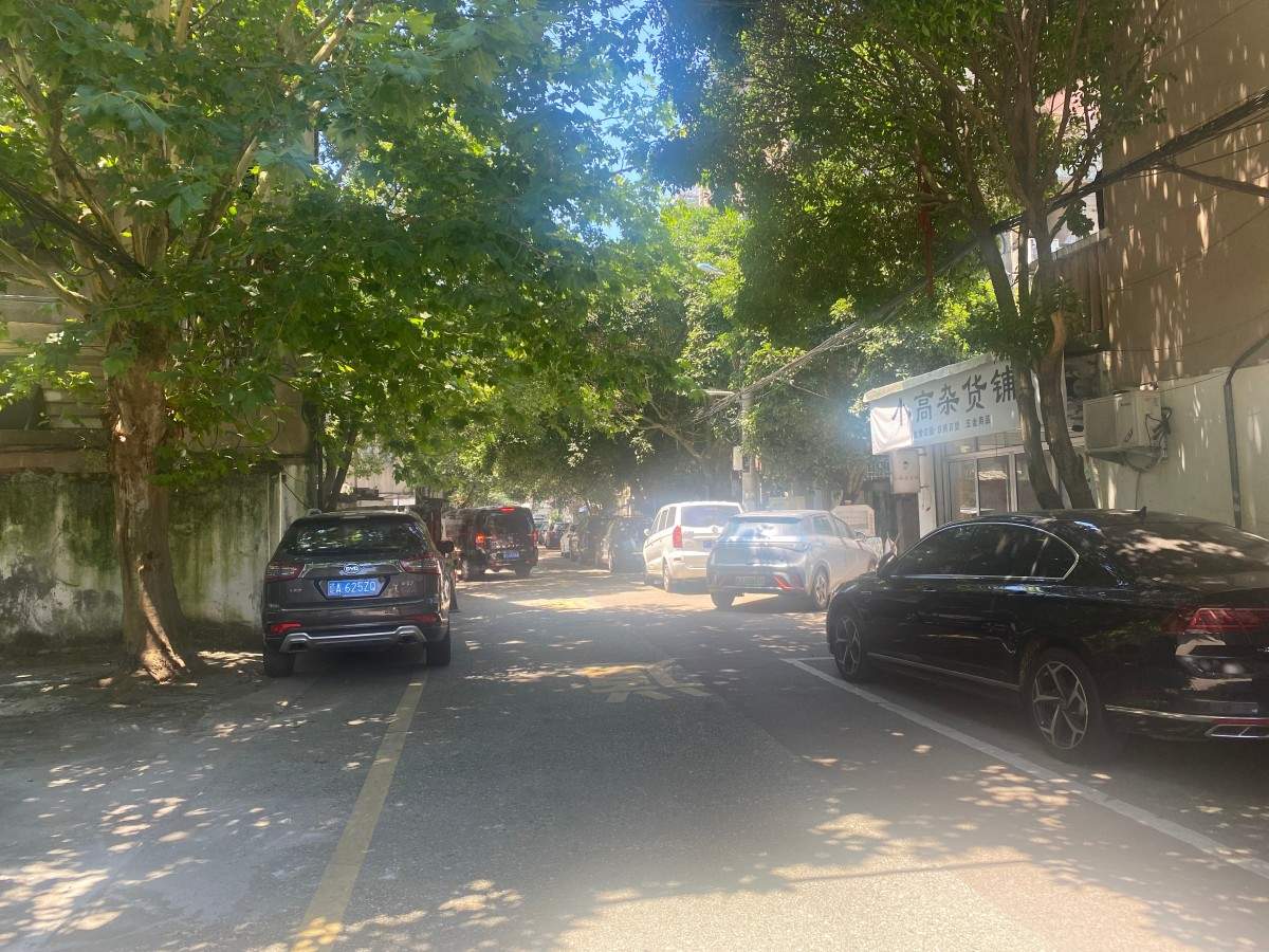 枫山新村老小区 市井民房住宅(图4)