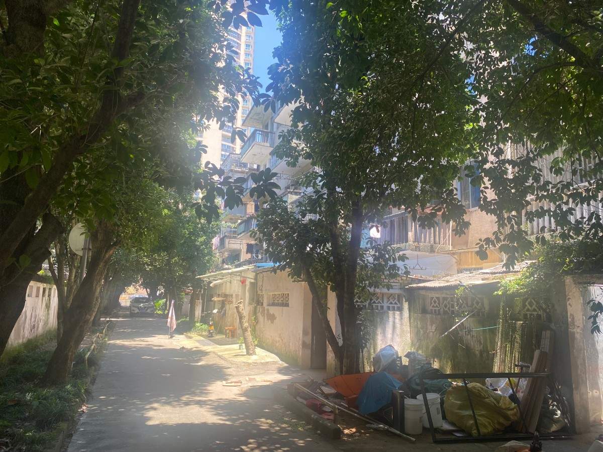 枫山新村老小区 市井民房住宅(图19)