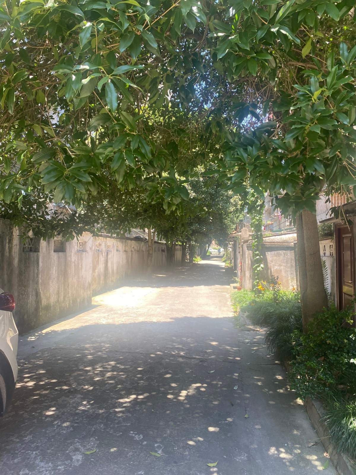 枫山新村老小区 市井民房住宅(图14)