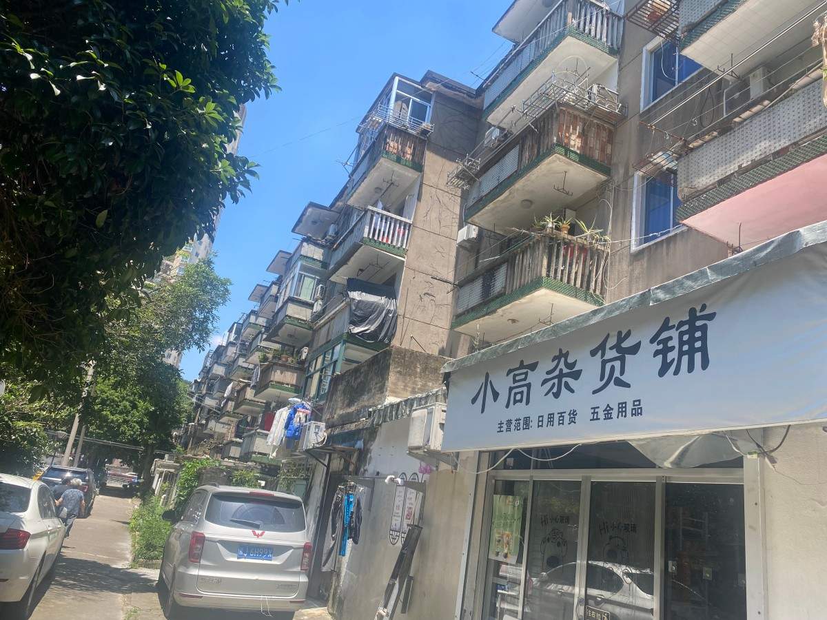 枫山新村老小区 市井民房住宅(图15)