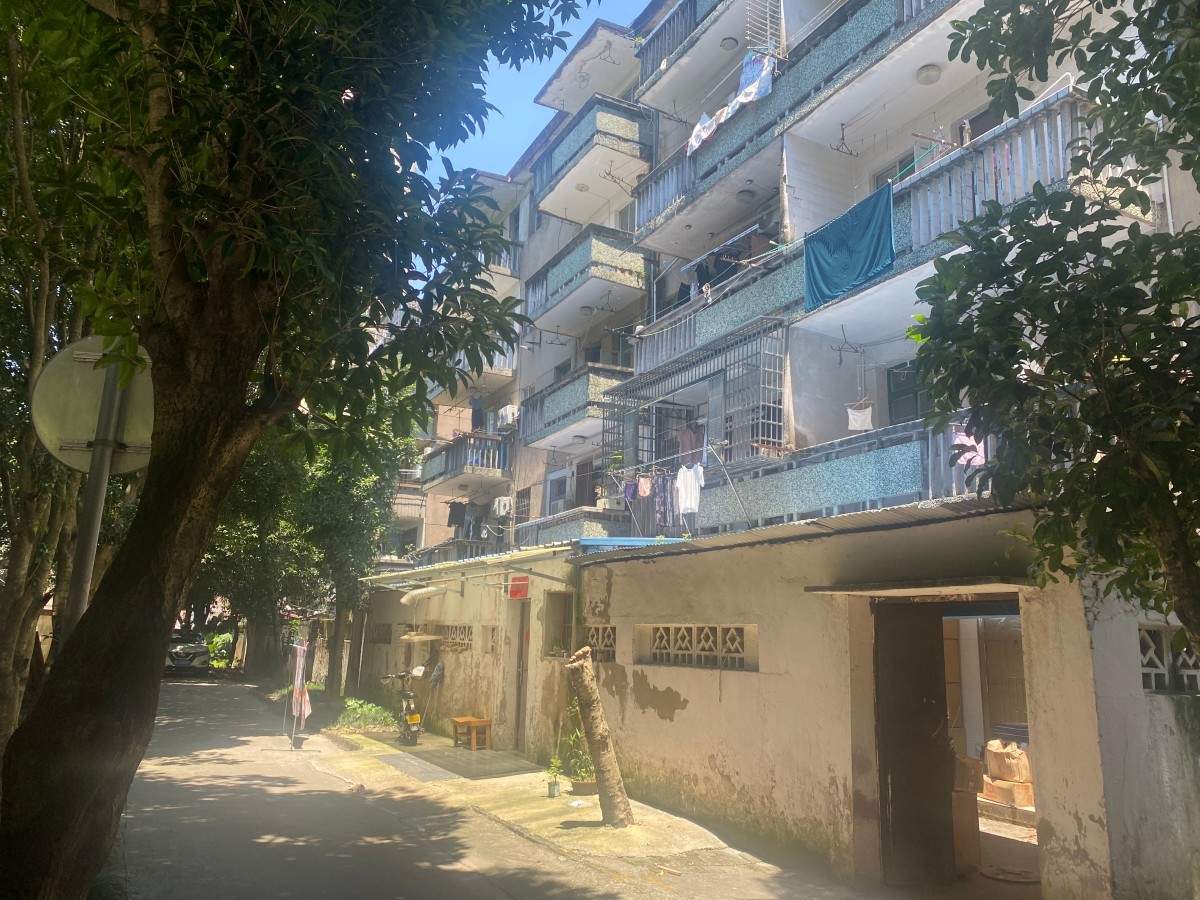 枫山新村老小区 市井民房住宅(图20)